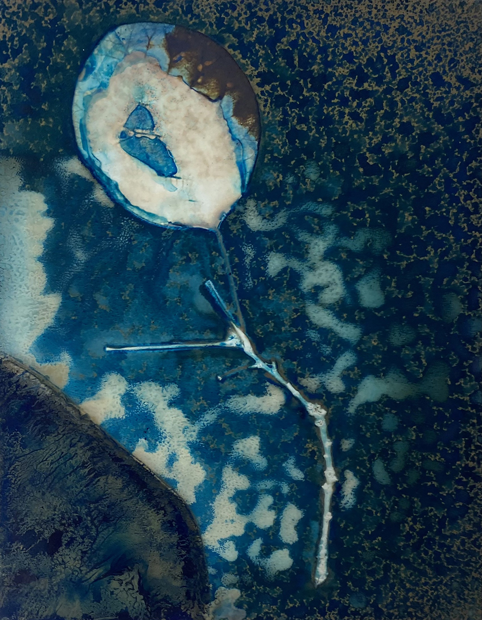 Stick, 2025, Cyano-phytogram, 4”x 5”