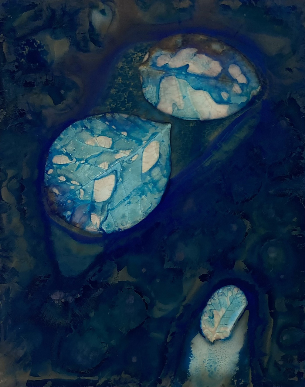 Float, 2025, Cyano-phytogram, 4”x 5”