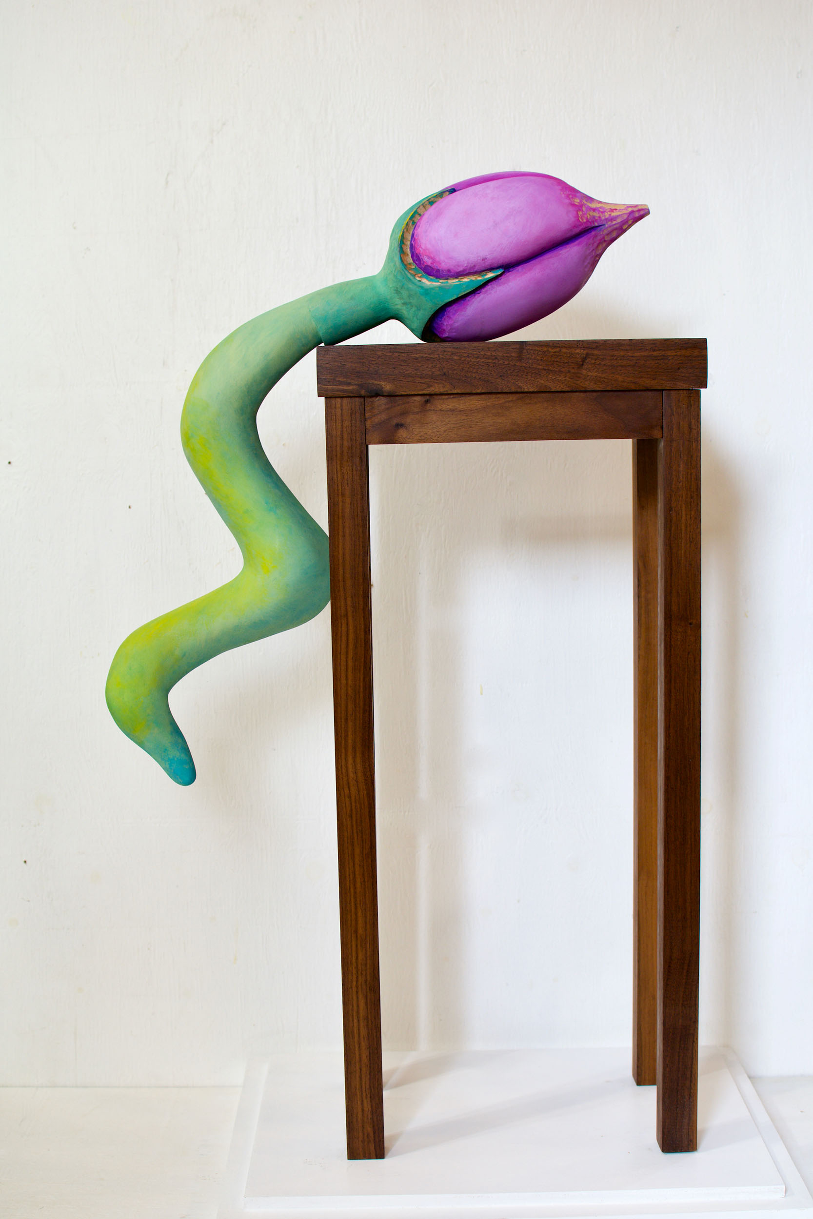 "Some Kind Of Tree Pod" Walnut Wood, American Linden, Gouache, 36 x 24 x 9 inches