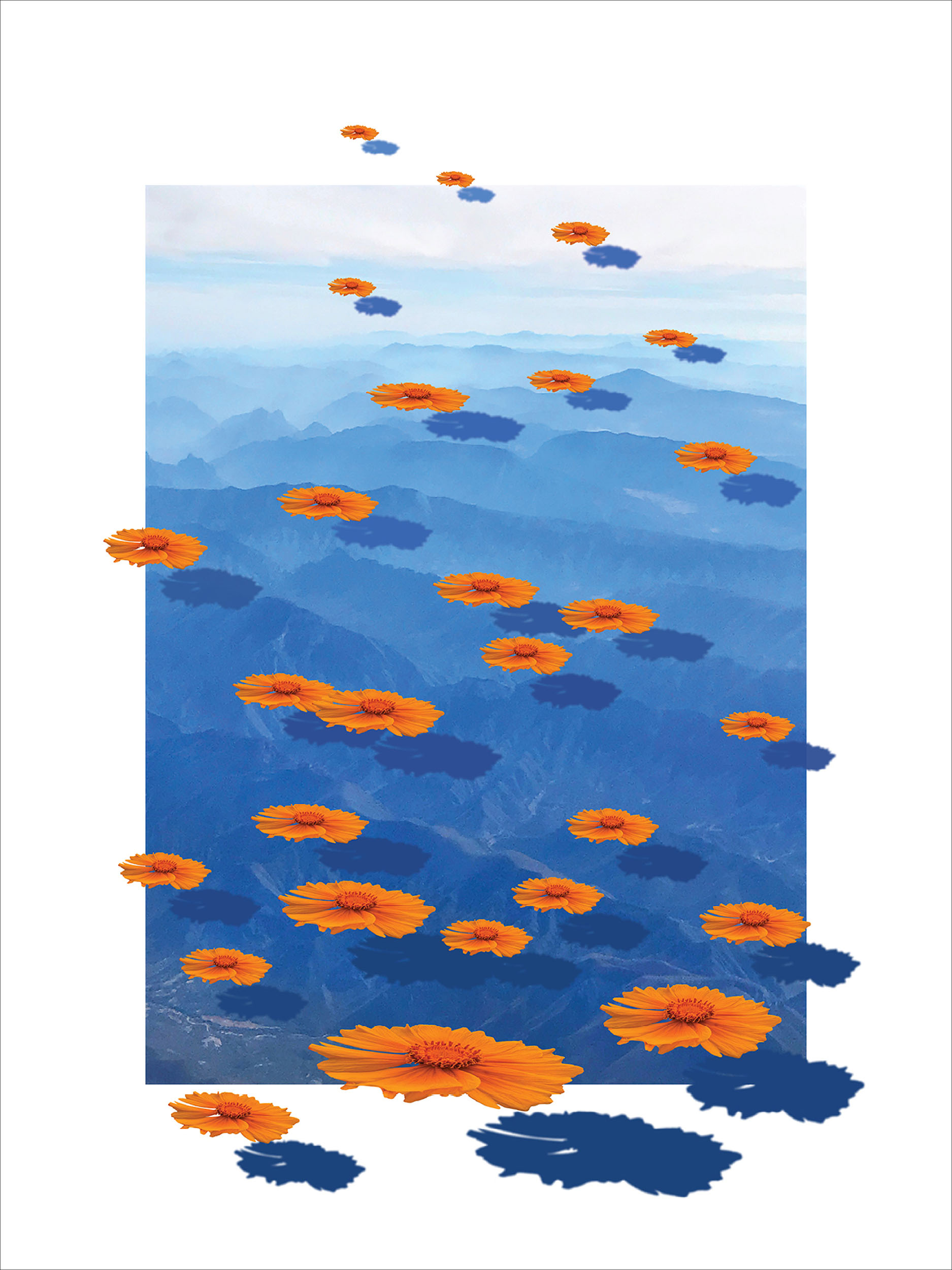 Invading blossoms cast their shadows with abandon | 2024, digital photomontage, archival pigment print, 18 x 24 inches