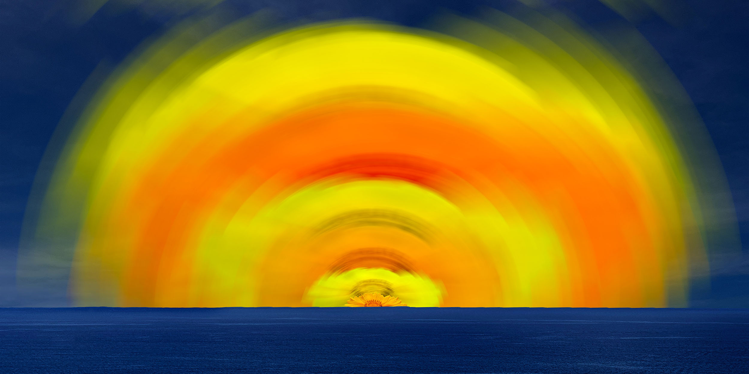 Arcus | 2025, digital photomontage, acrylic print, 24 x 12 inches