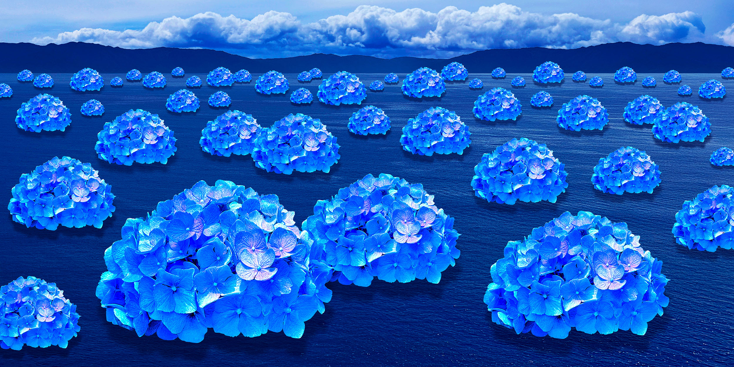 Drifts | 2025, digital photomontage, acrylic print, 24 x 12 inches