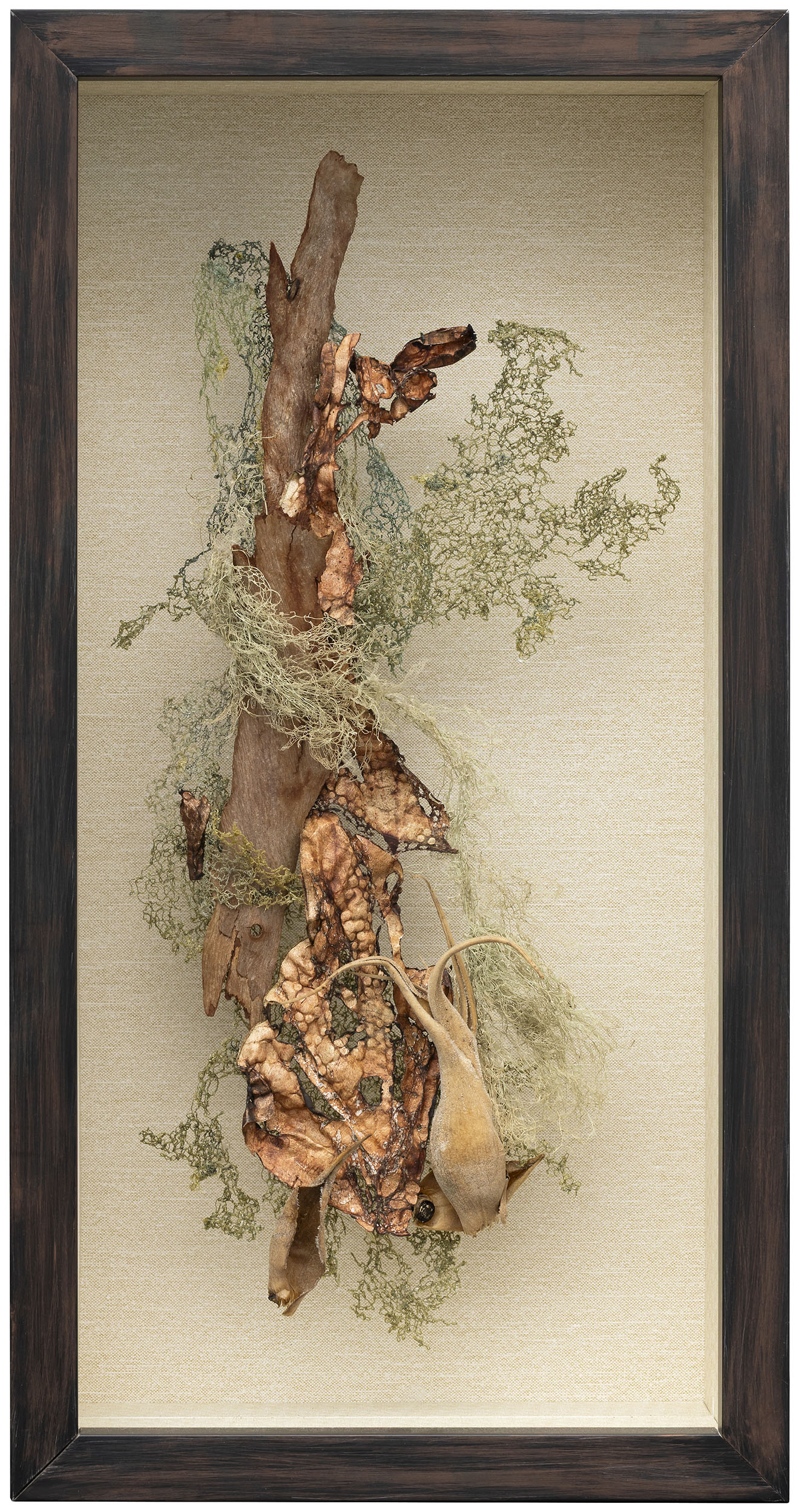 Spanish Podcast | 2024, Spanish moss, bromeliad pod, wood, rayon embroidery thread, envelope Tyvek