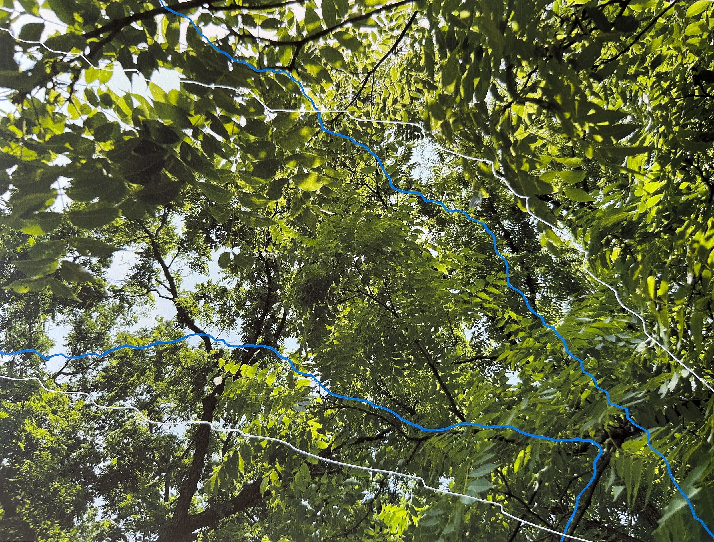 Constructing Memory, Summer Leaves: Detail C | Pigment Ink Print on Archival Paper with Paint Marker, 16” x 20”