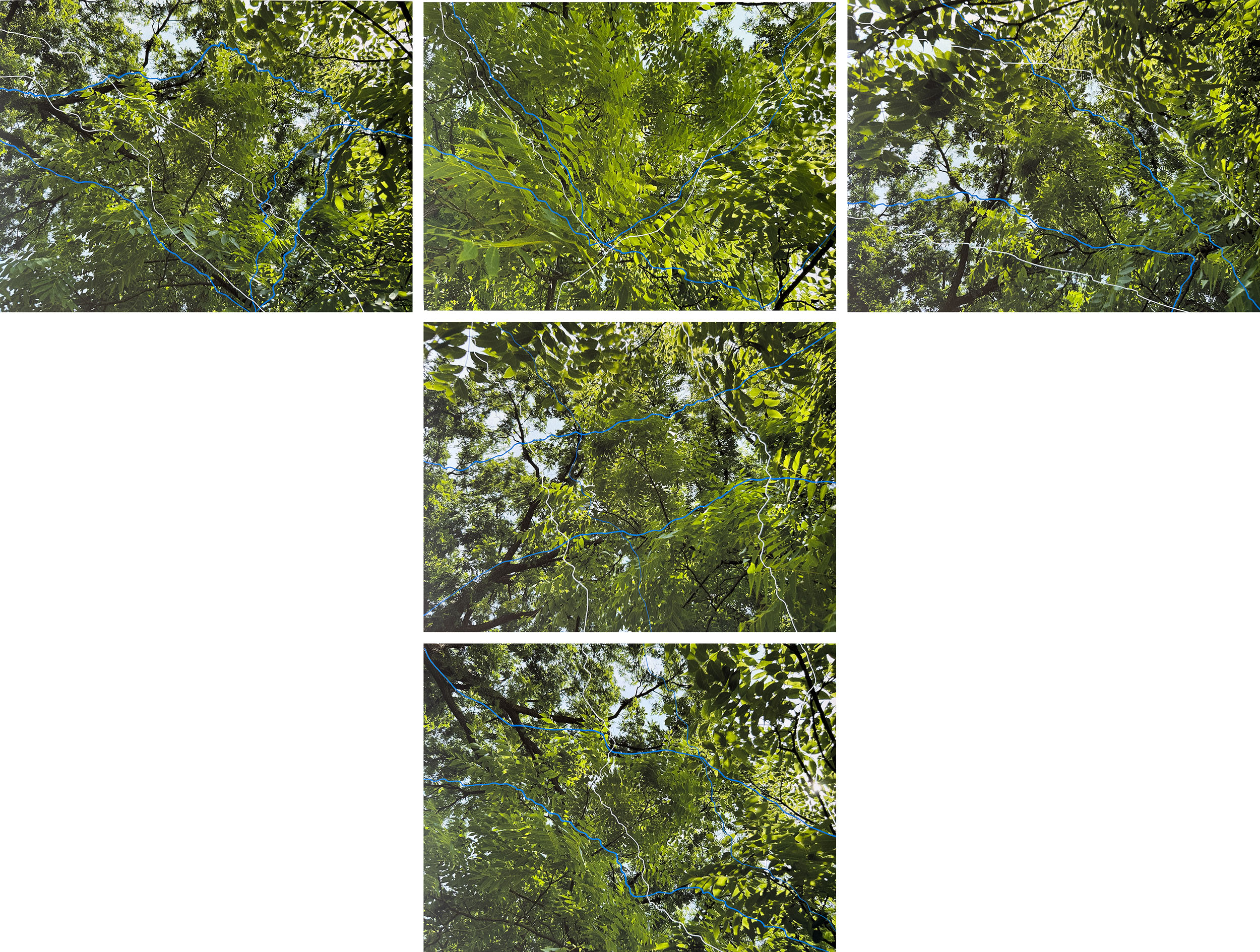 Constructing Memory, Summer Leaves | Pigment Ink Print on Archival Paper with Paint Marker, 48” x 60” (individual images are 16” x 20”)