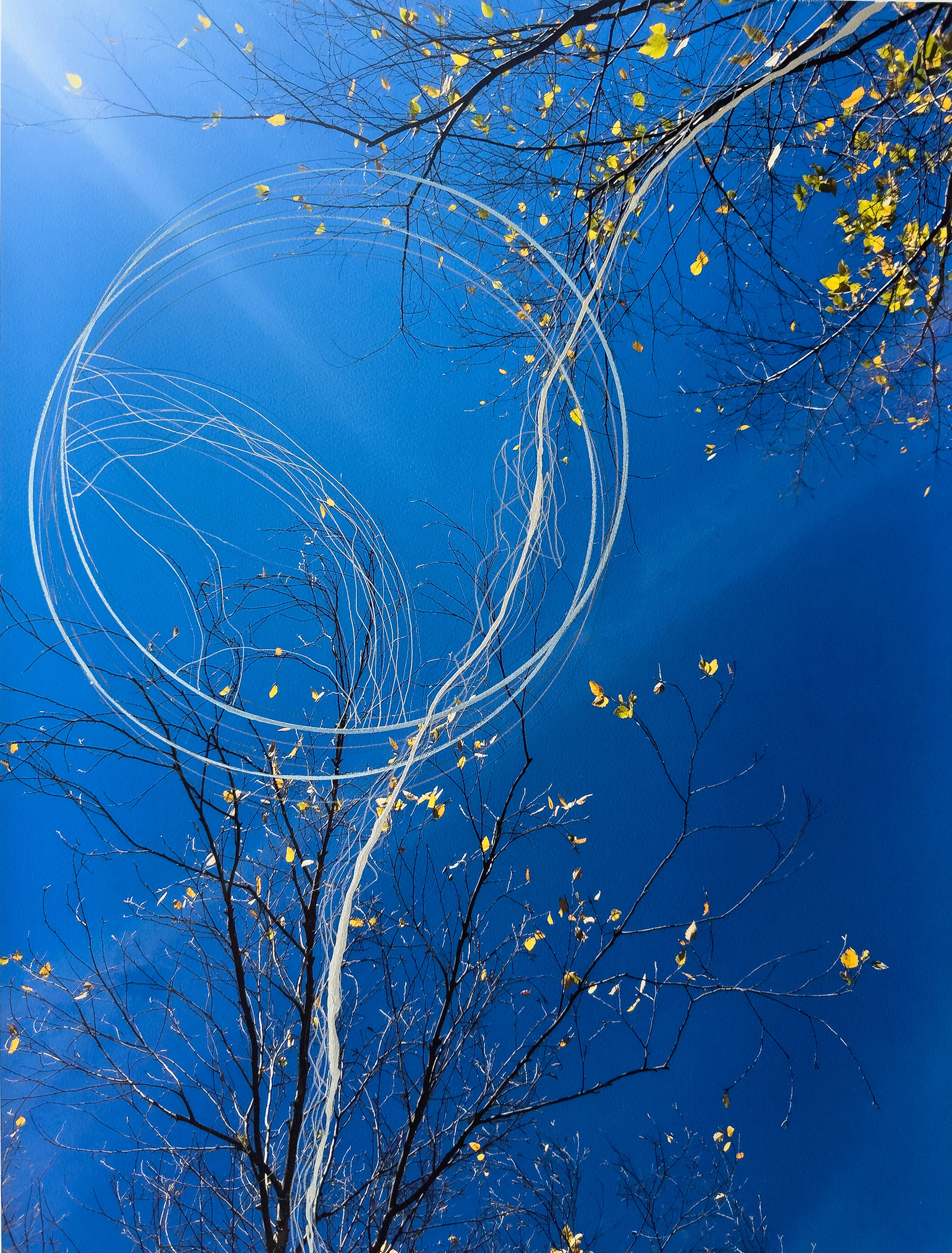 Everchanging Nature of Experience 2 | Pigment Ink Print on Archival Paper with Paint Marker, Gel Pen, and Acrylic Ink, 24” x 18”