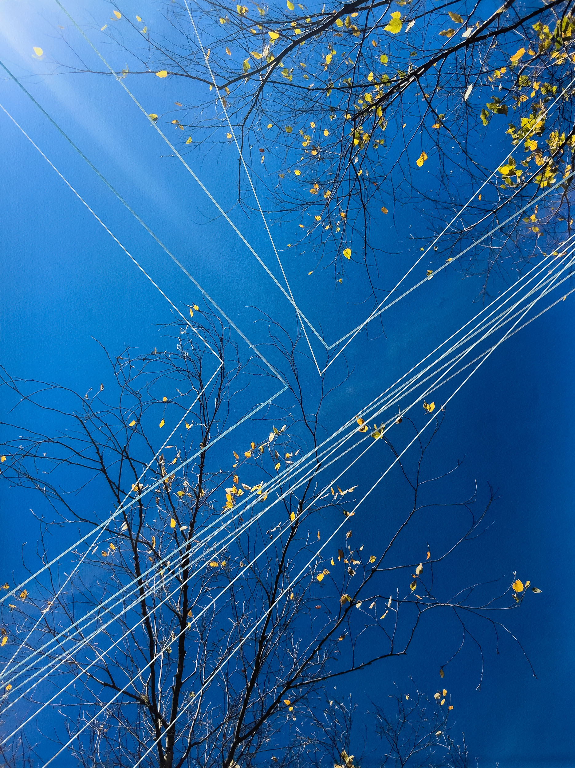 Everchanging Nature of Experience | Pigment Ink Print on Archival Paper with Paint Marker, 24” x 18”