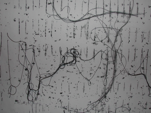 Thread :: Language, 2002, photocopies on bond paper, cotton yarn, hand-knotted netting, map pins