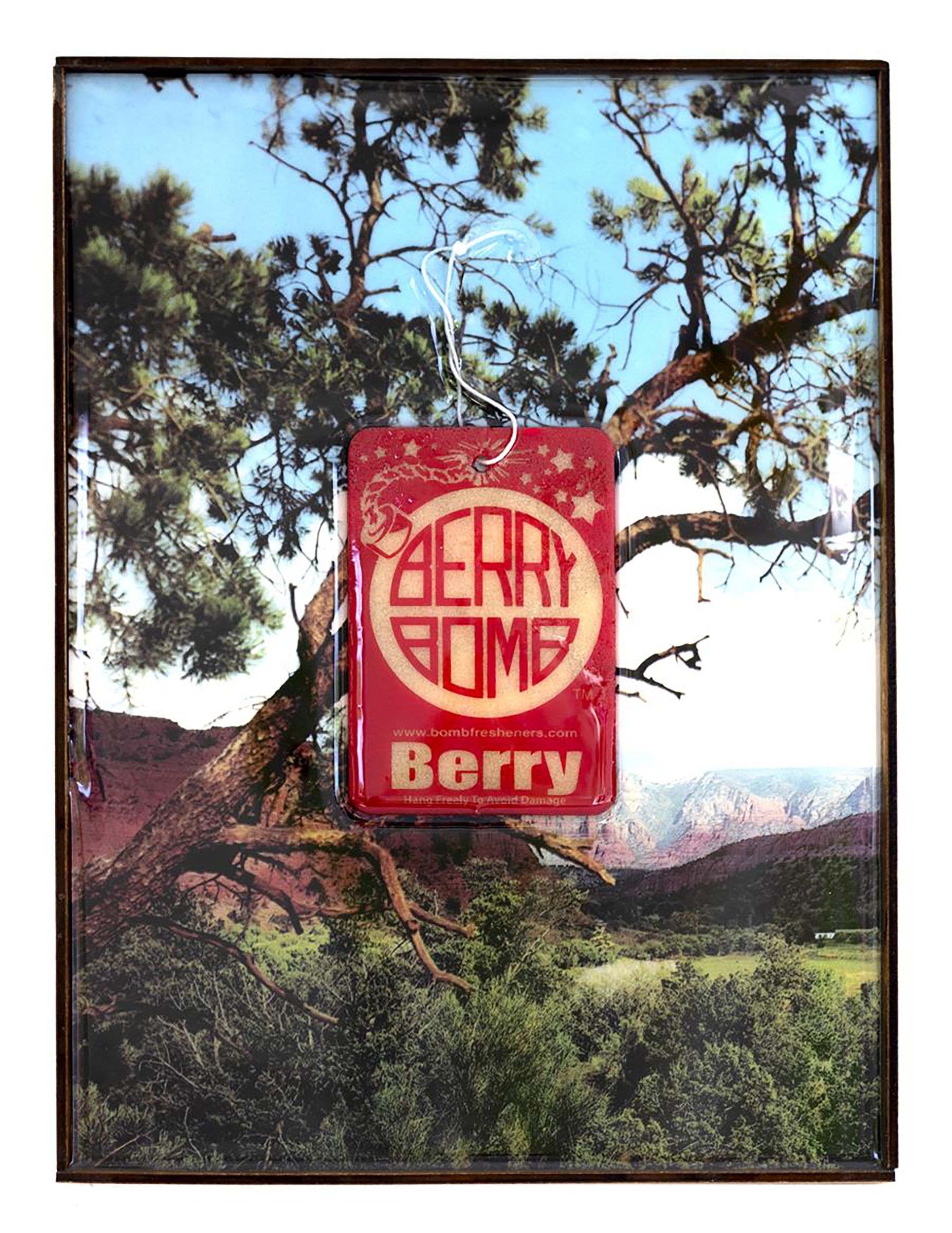 "Berry Bomb" found object landscape in artist made frame, 8 x 10 inches