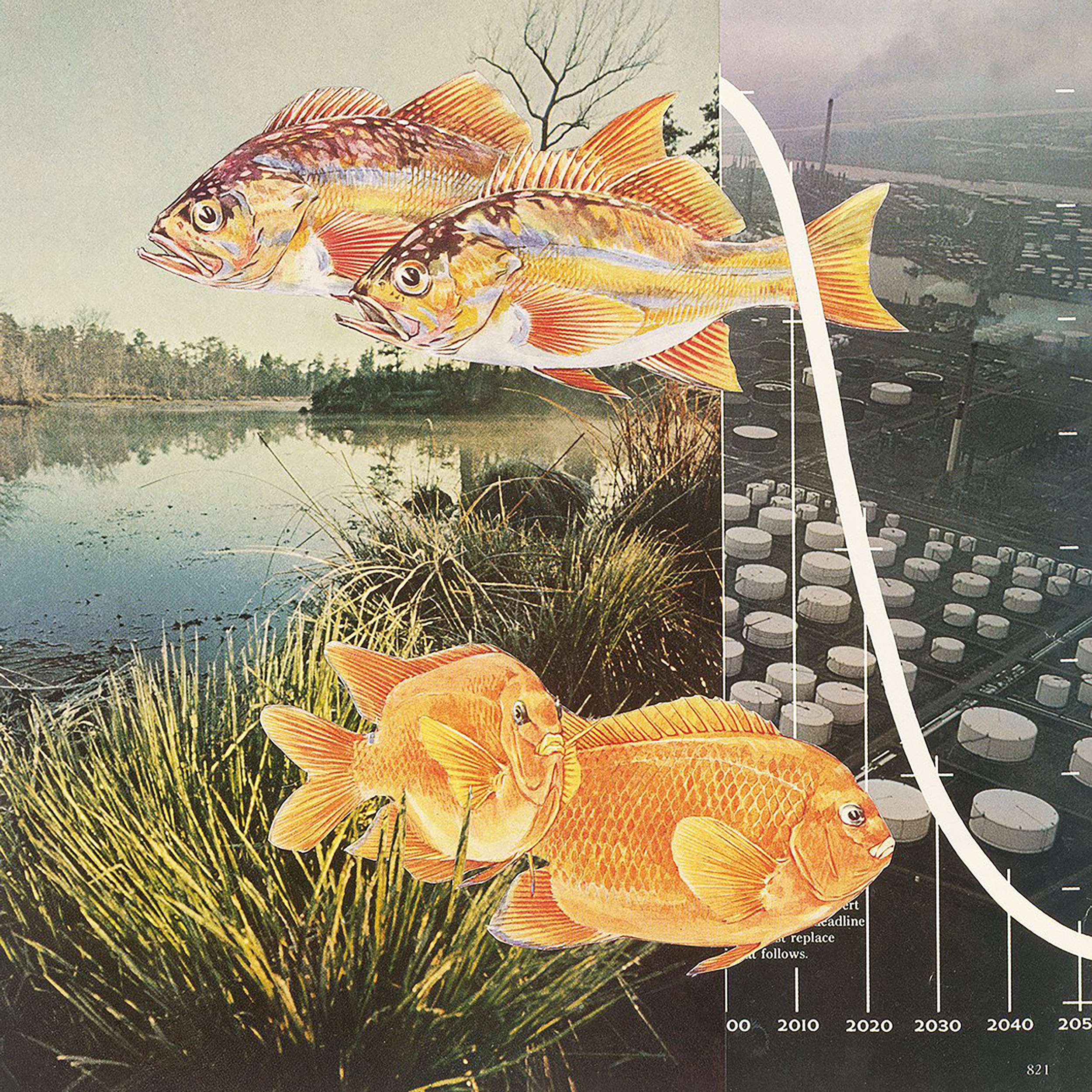 "Fishtails" analog collage, 12 x 9 inches (framed)
