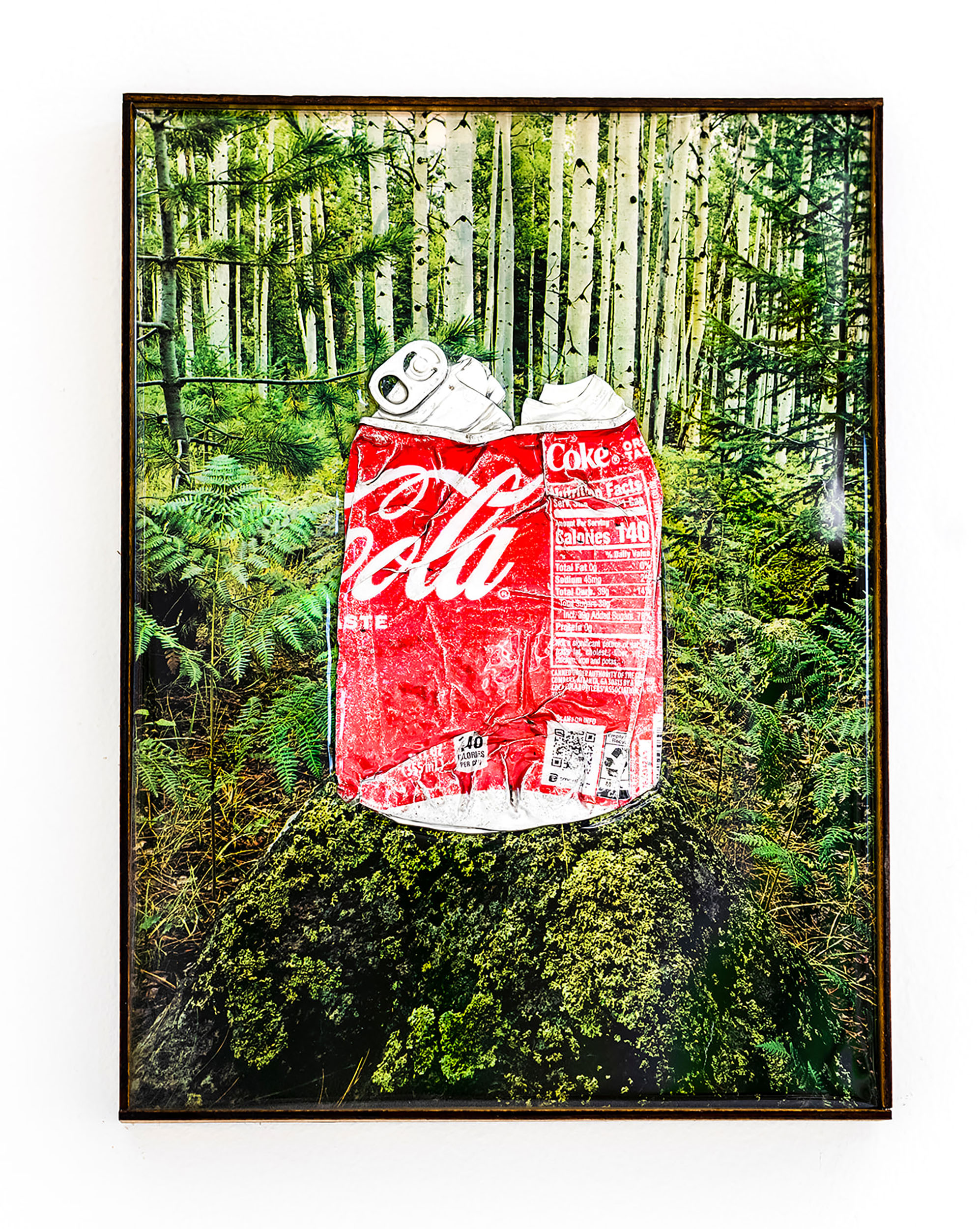 "Cola" Found object landscape in artist made frame, 8 x 10 inches