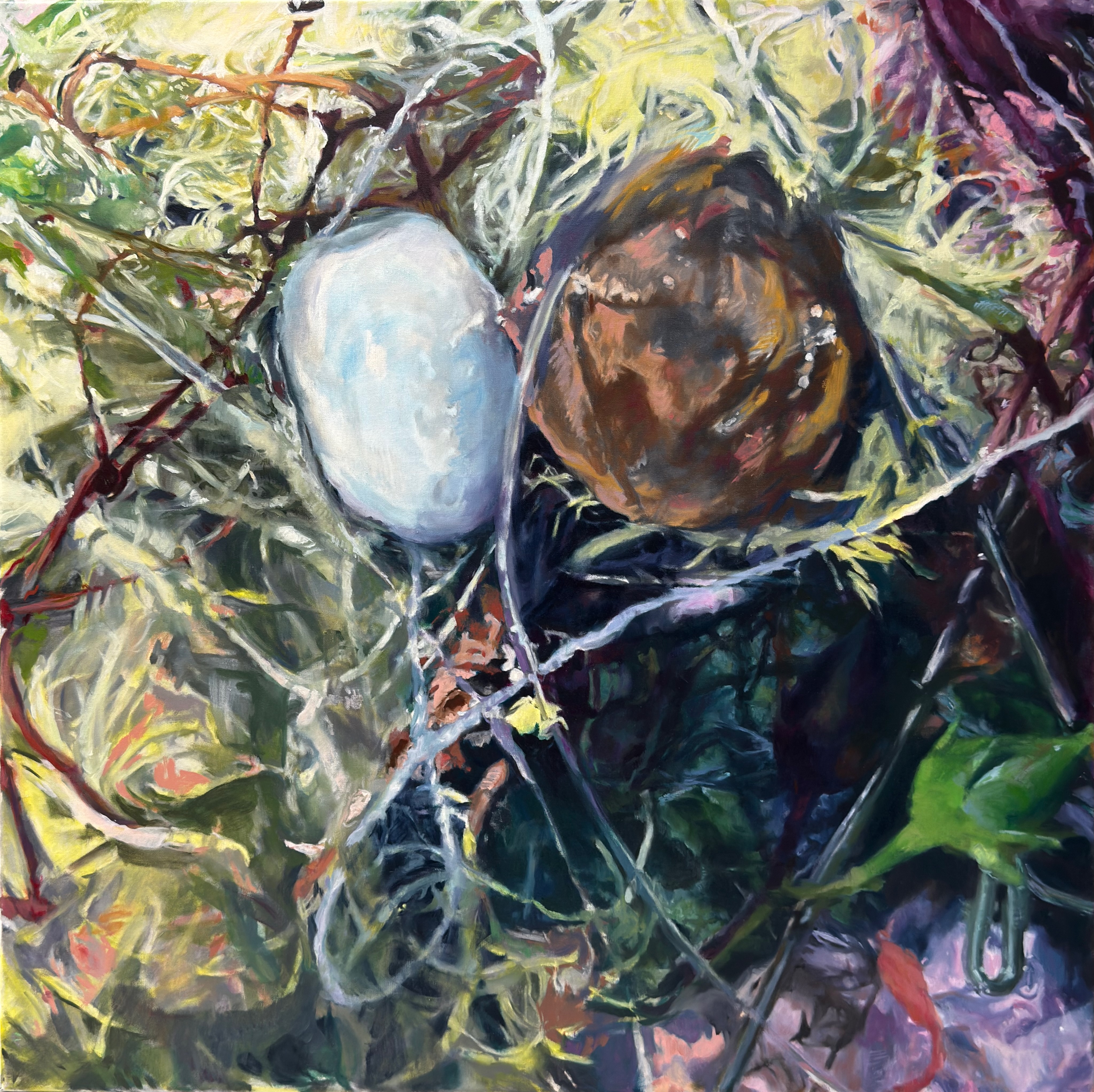 "Nesting,"painting, oil on linen, 30”x 30”