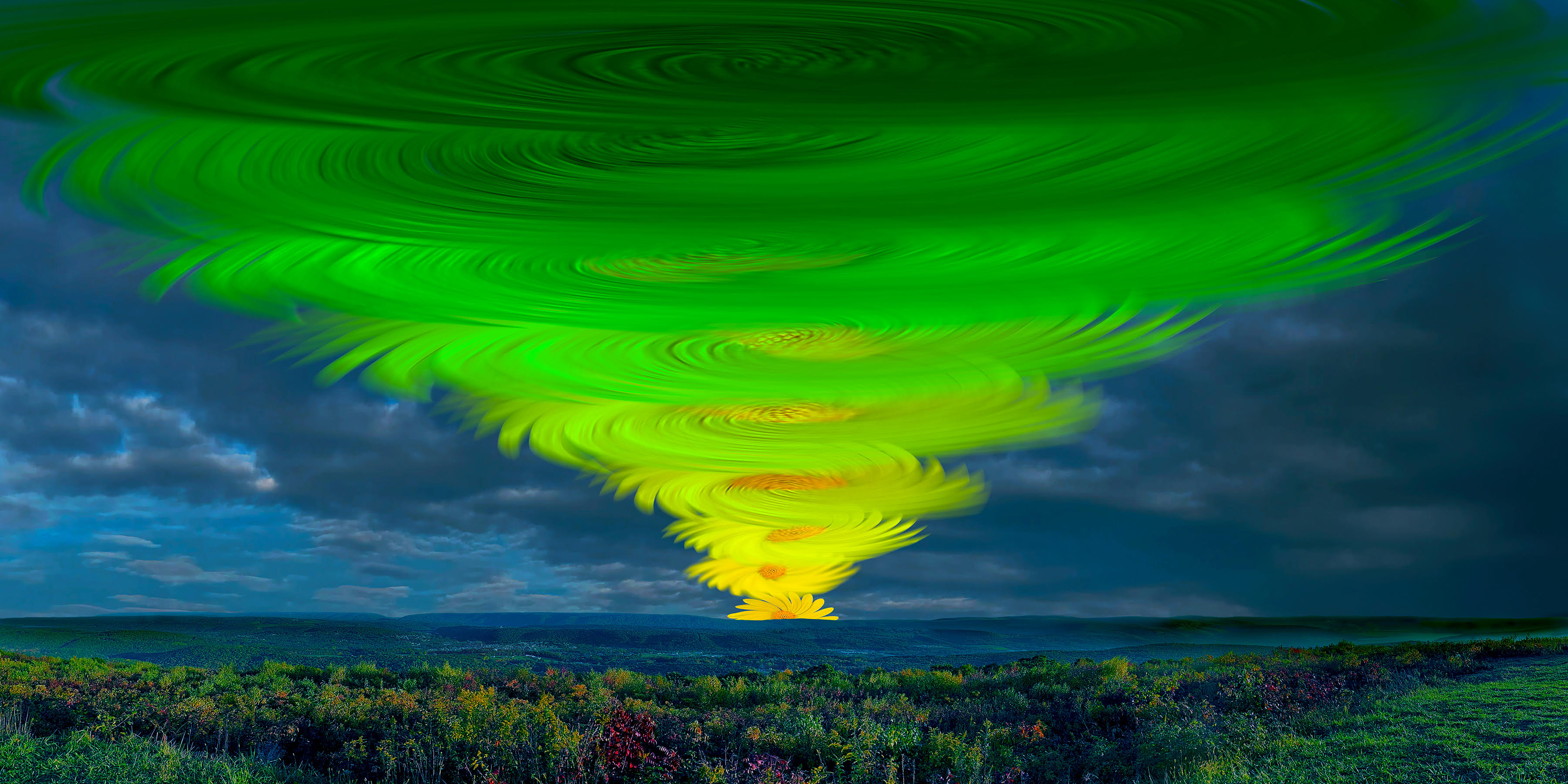 Whirl | 2026 Digital photo composite, acrylic print