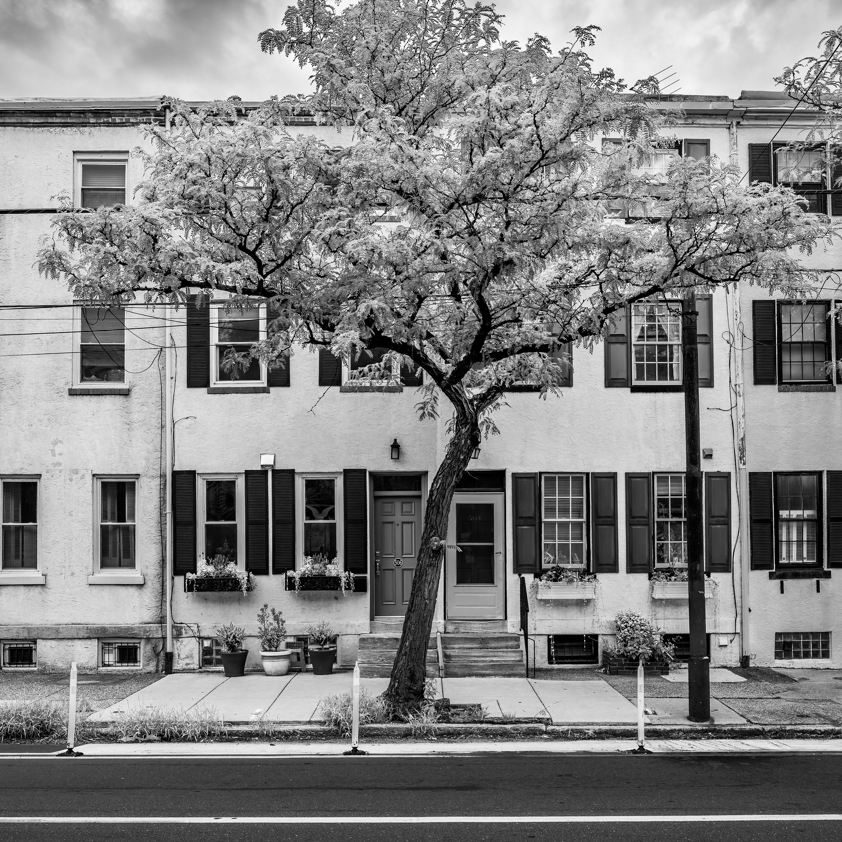"Urban Canopy" Photograph, Giclée Fine Art Inkjet Pigment Print, 20 x 20 inches