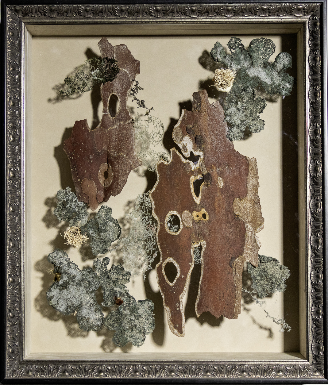 Serenity, 2026, fiber sculpture, mixed media: sycamore bark, rayon embroidery threads, leek roots, drapery tassels, and onion roots, 21 x 18 inches