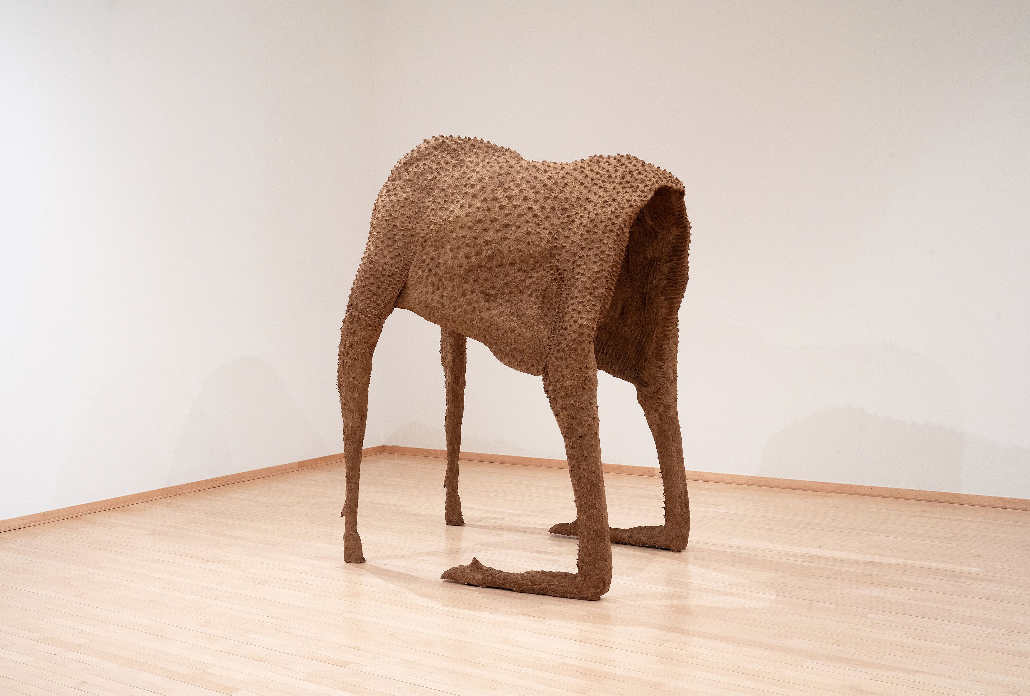 Moose Husk, 2026, Cardboard pulp, glue, chicken wire, wood, pvc pipe, 87” x 60” x 44” Experiential piece you can walk through.