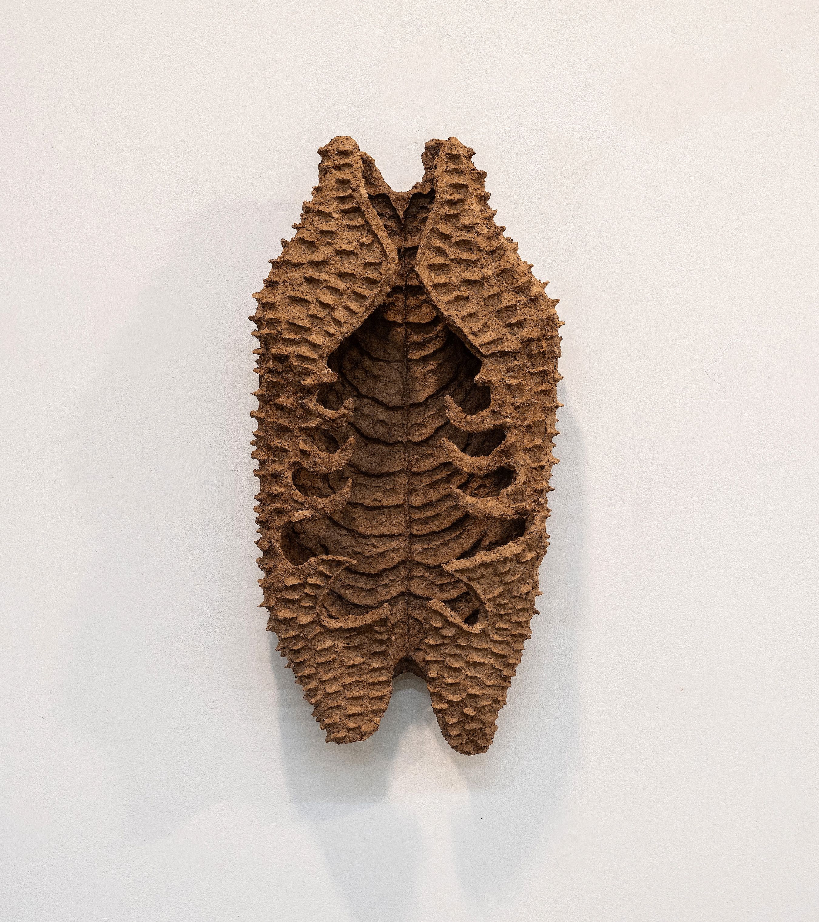 husk, 2025, Cardboard pulp, glue, wire mesh, 23" x 12" x 5”