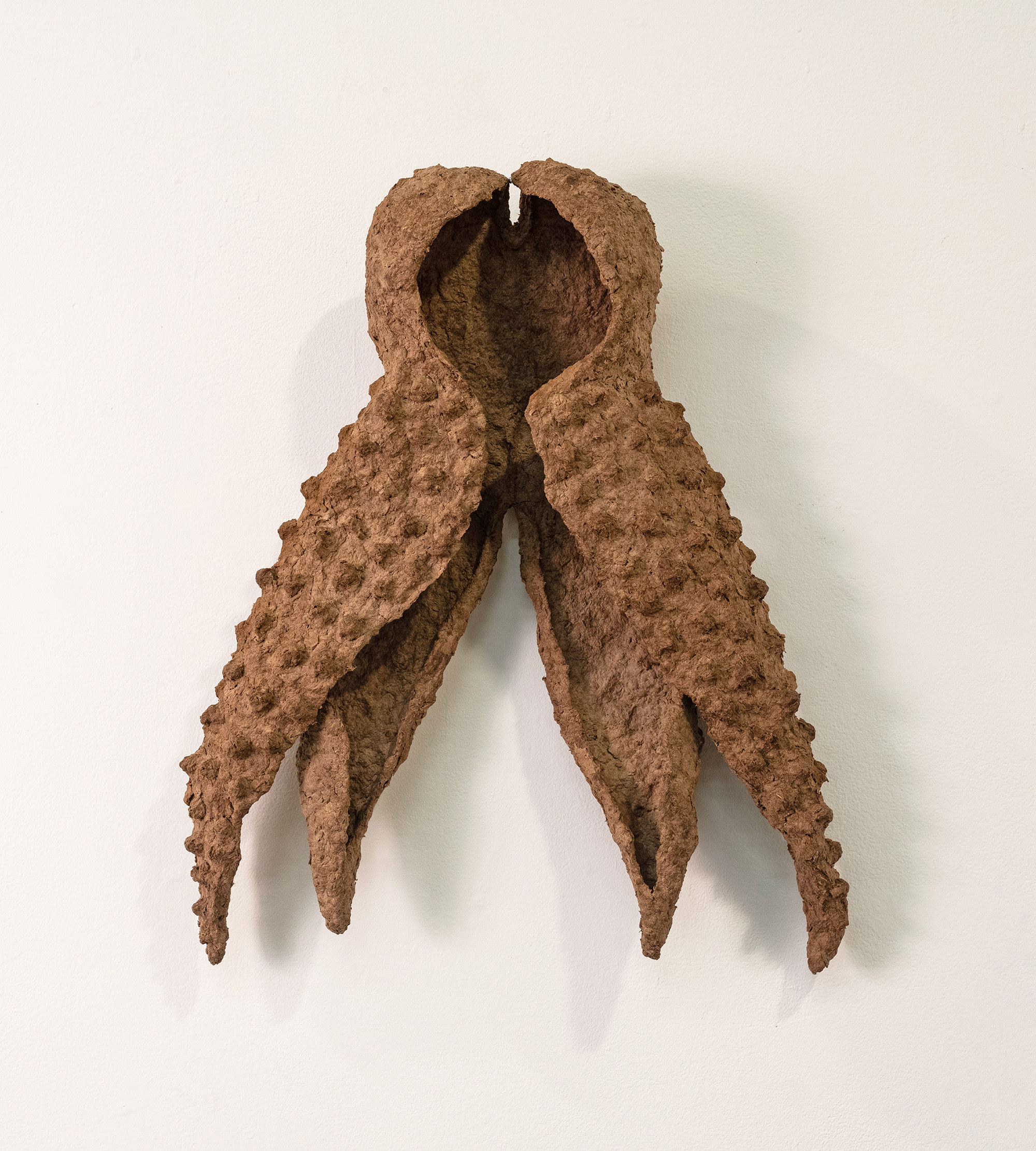 Bird husk, 2025, Cardboard pulp, glue, wire mesh, 21x 17” x 5”
