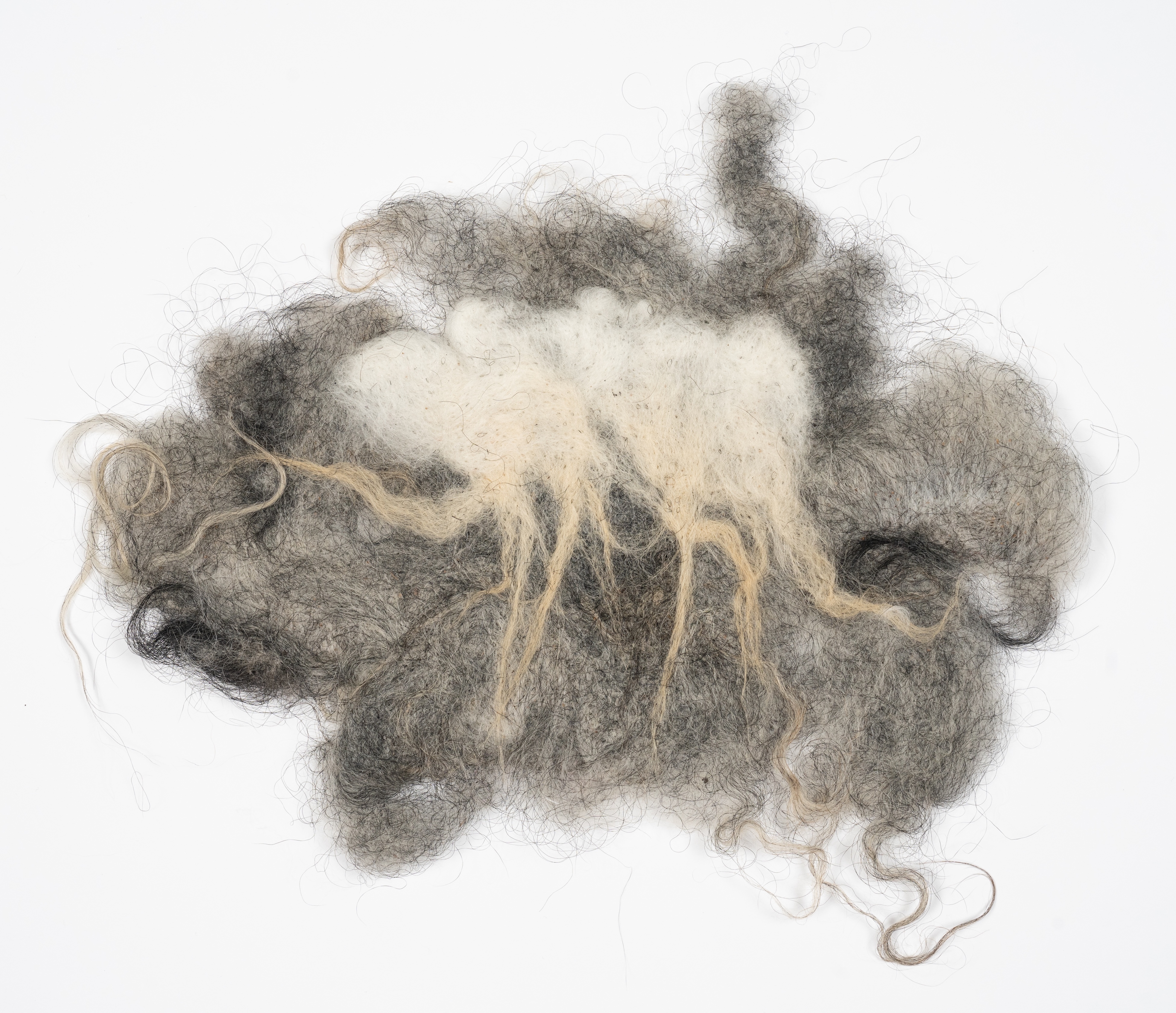 Monster Parade (1) 2023, Icelandic wool, 8” x 11”