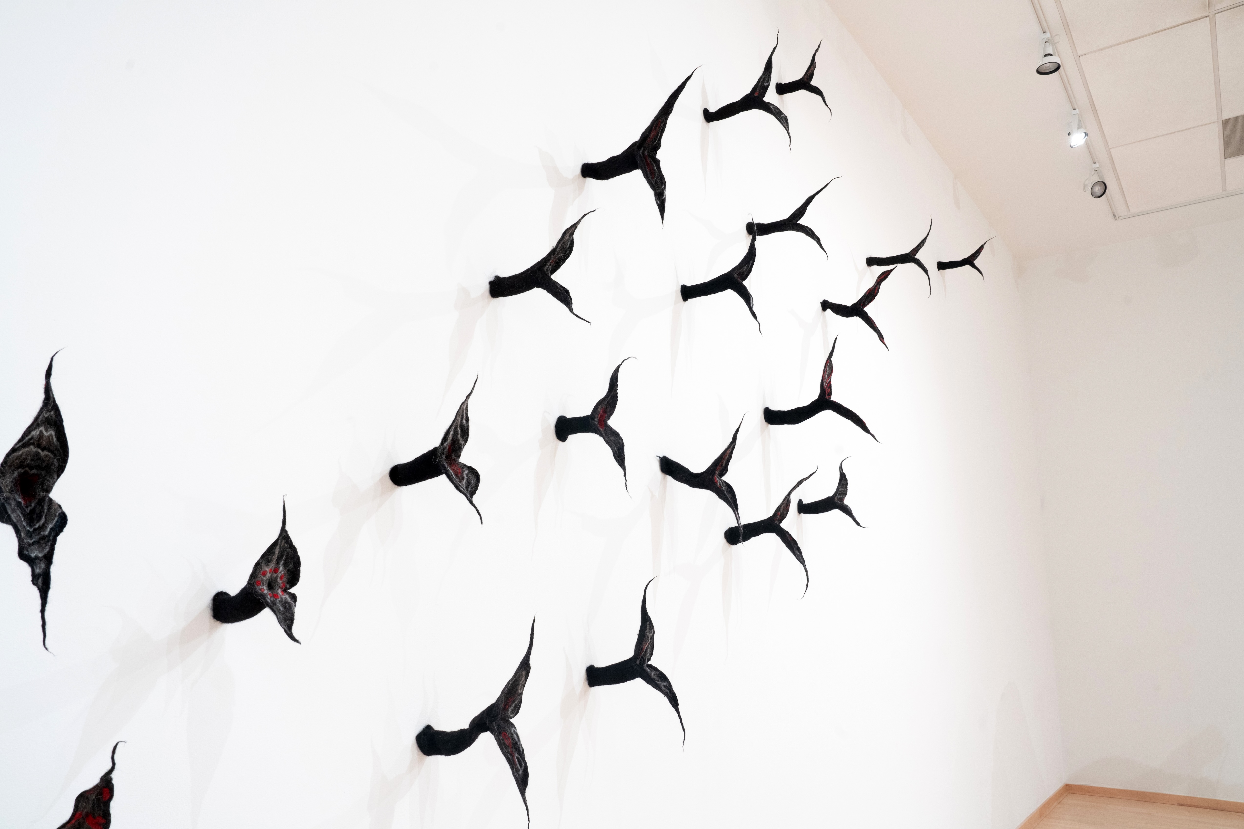 Flock, 2026, Dimensions vary