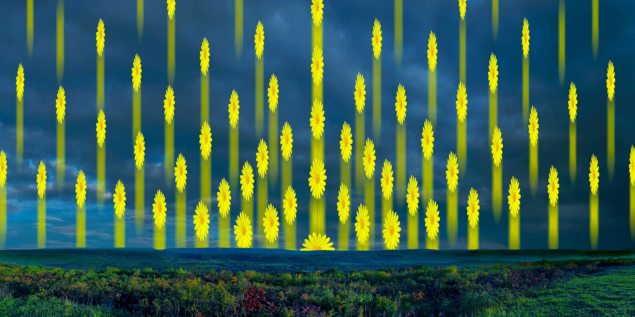 Ascension | 2026, Digital photo composite, acrylic print