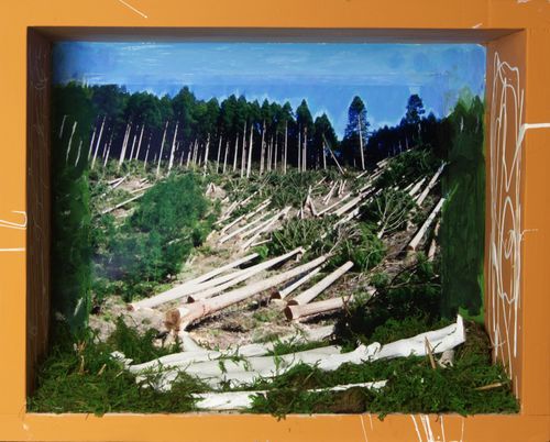 "Lost Trees" mixed media: moss, twigs, photograph, paint, wooden box, 15" x 12" x 7 ½"