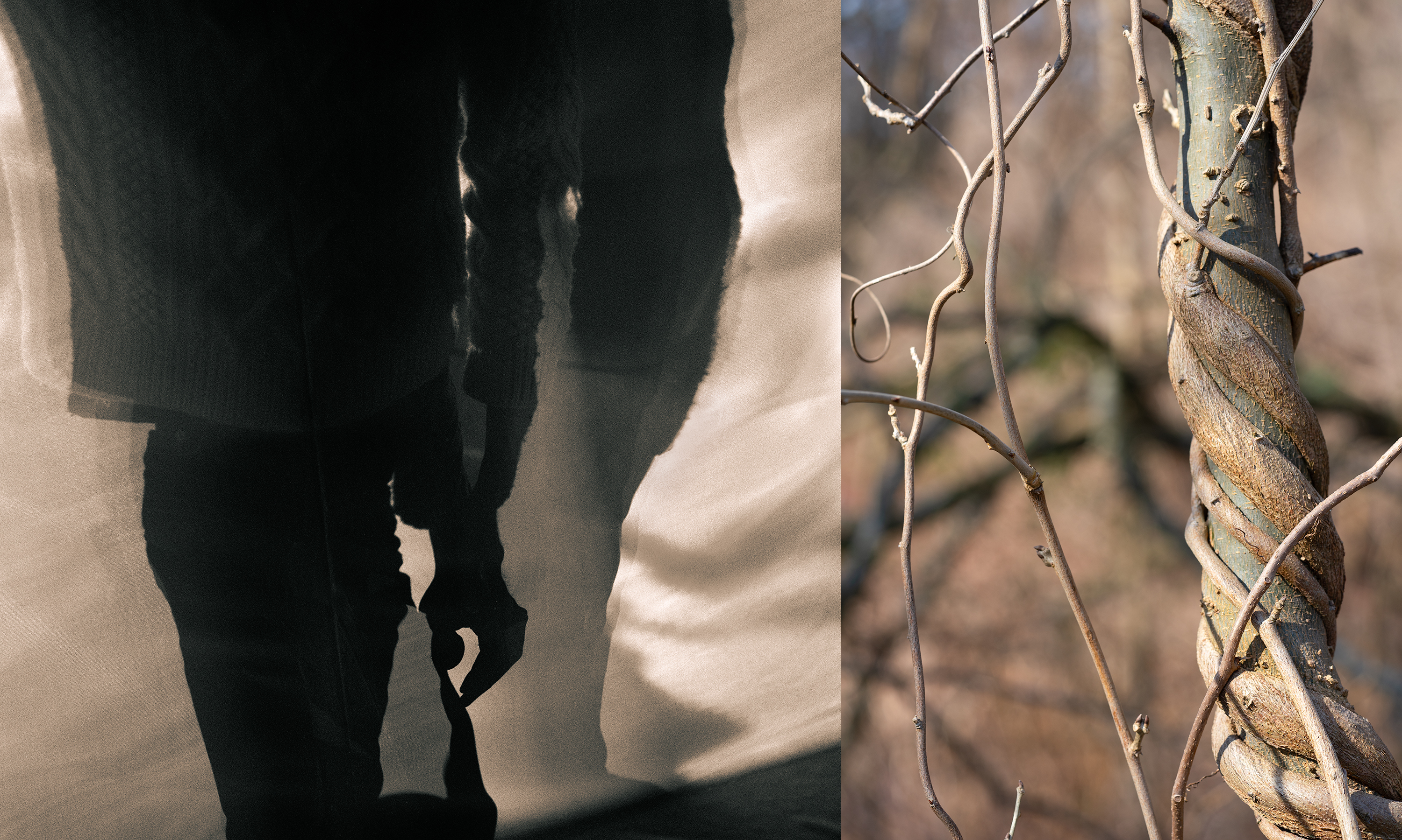 "Beyond the Trail" photograph, archival pigment print, 17 x 22 inches