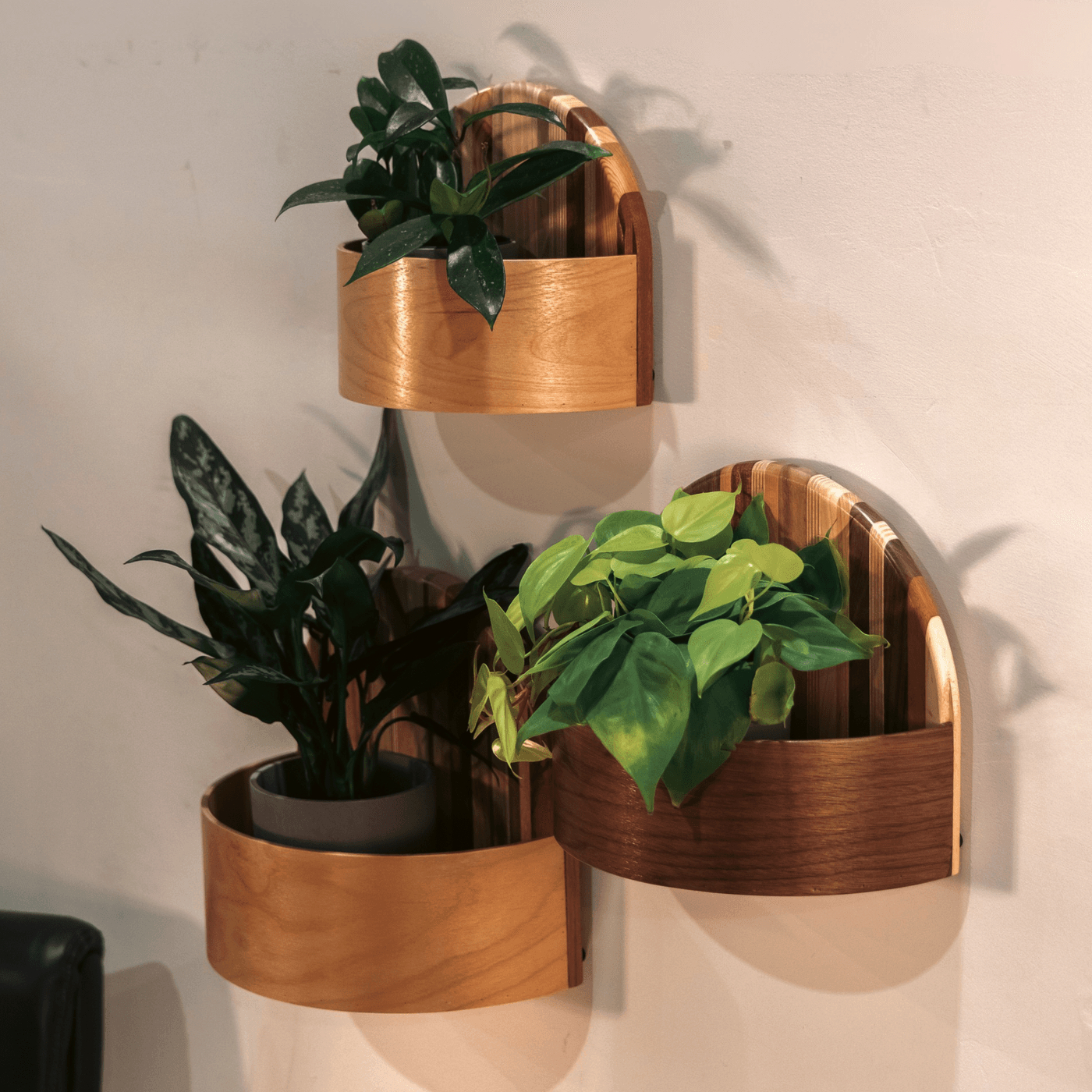 "Wall Planters" 2026, wood drum shell fragments, solid hardwood laminate backing, 14” x 10”