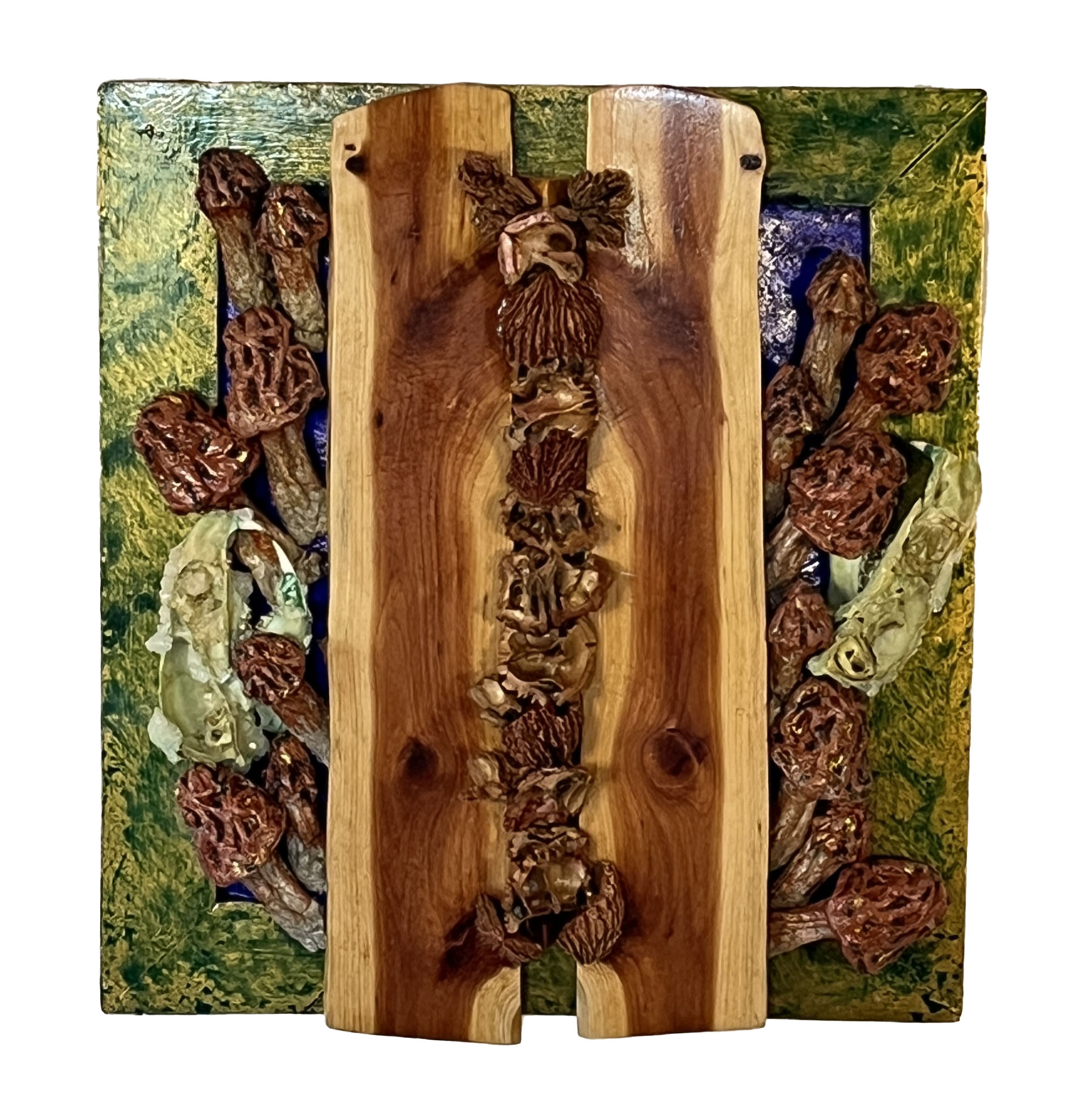 "Mycelium the Wood Wide Web" 2025, Sculpture, Wood, Papier-Mâché, Walnut Shells, Bone, Borax, 12” x 11” x 1.33”