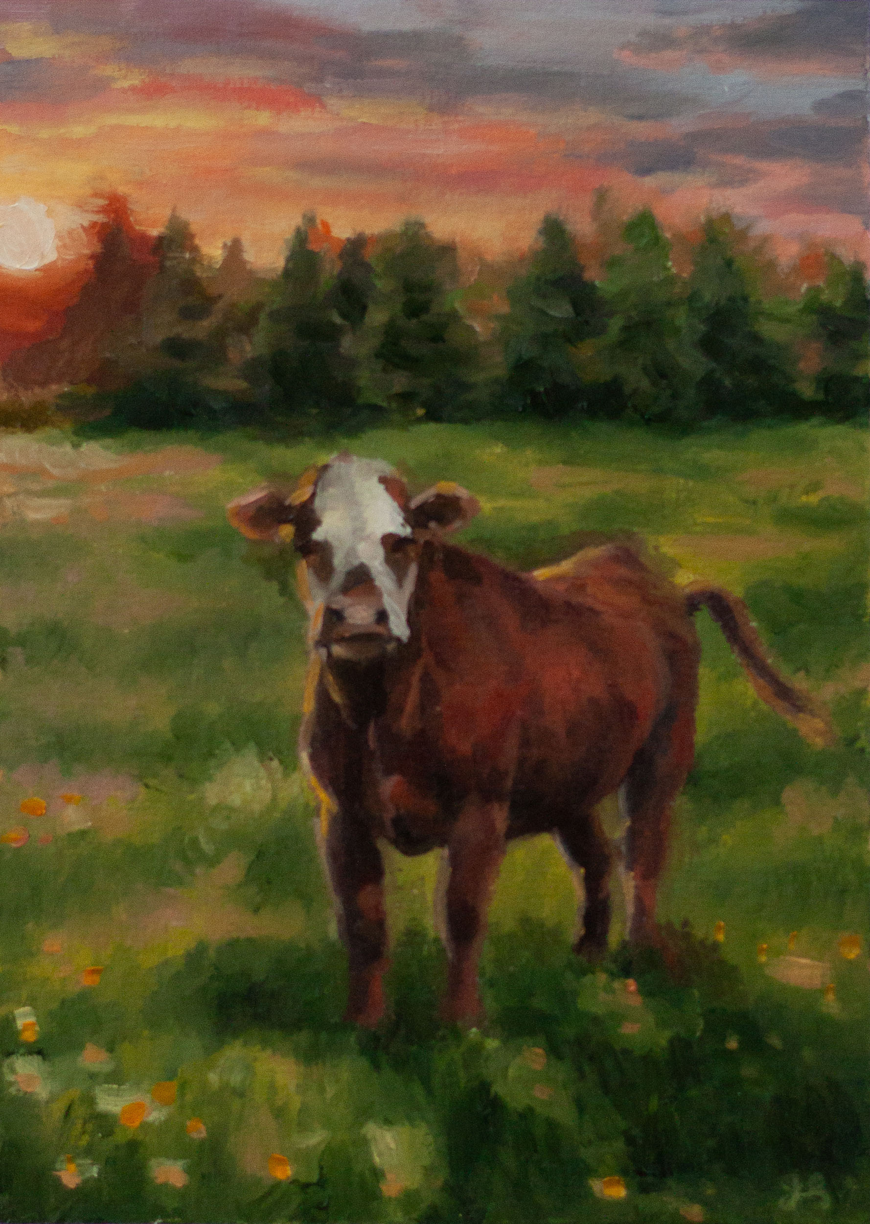 "Cow on Hoover" 2026, oil on paper, 5 x 7 inches
