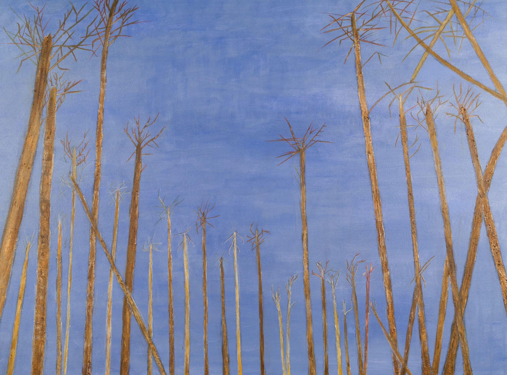 "Ghost Trees" acrylic on canvas, 30" x 40"