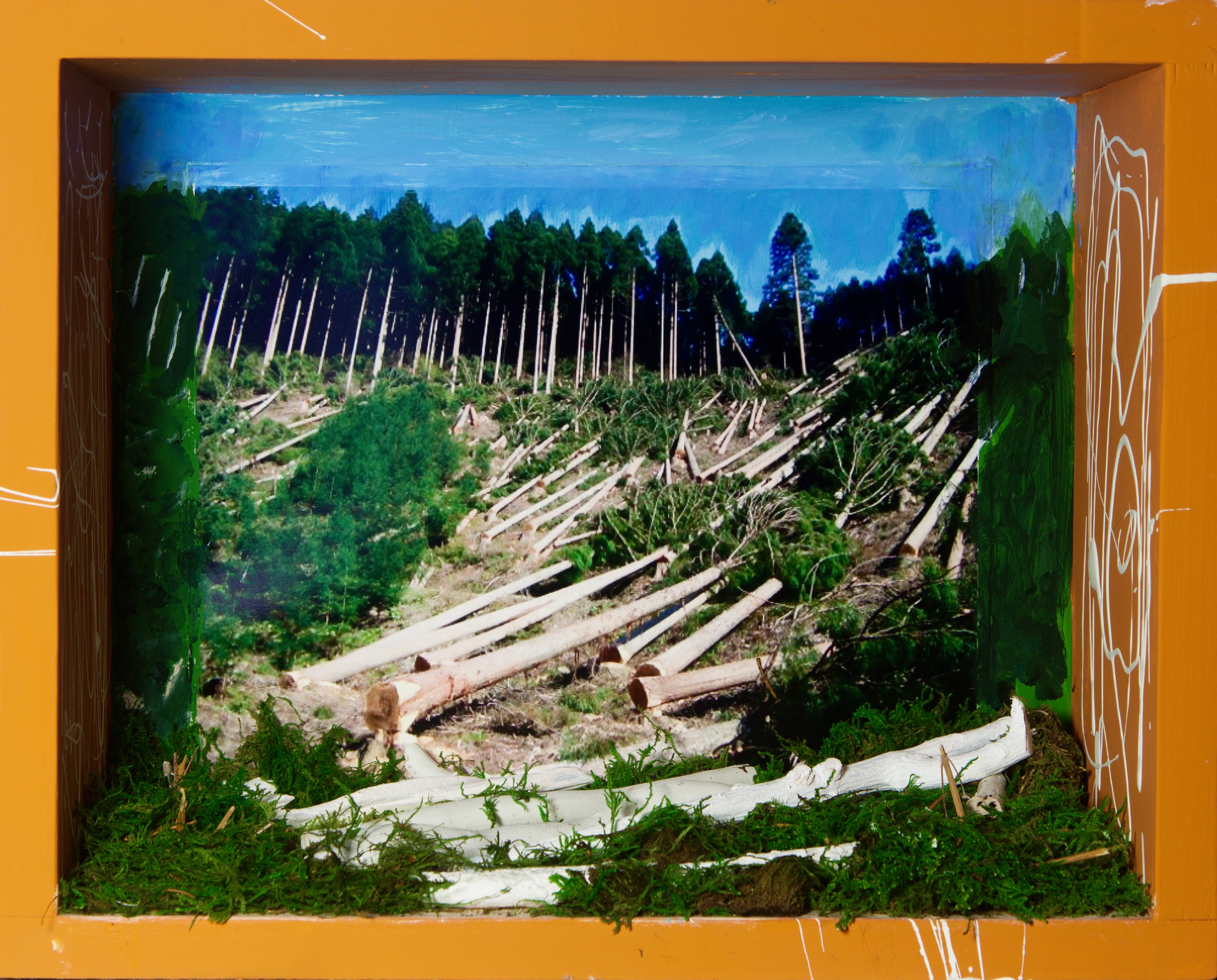 "Lost Trees" mixed media: moss, twigs, photograph, paint, wooden box, 15" × 12" × 7 ½"