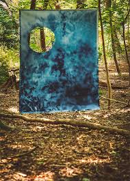 Monument to an Ecosystem Installation 