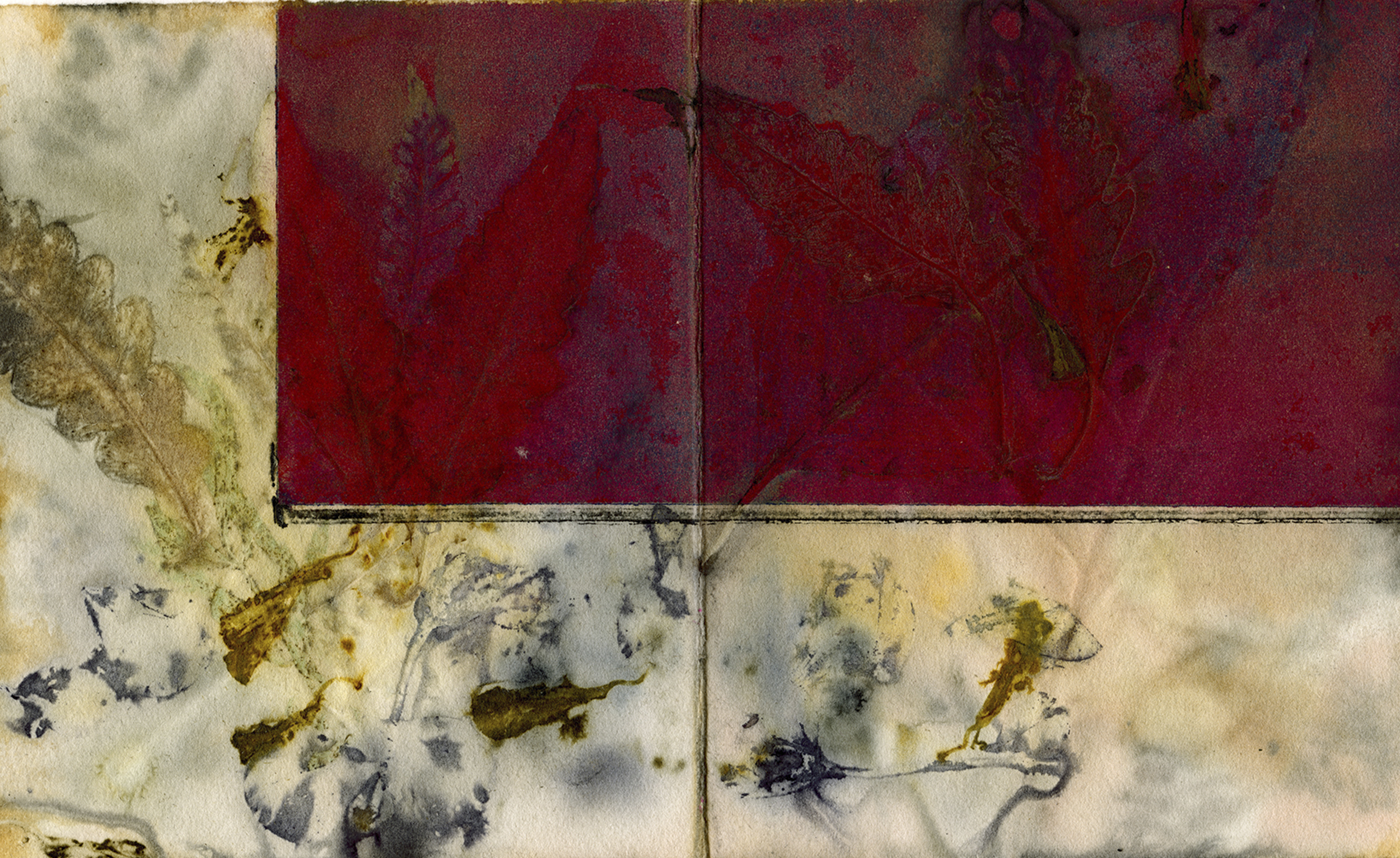 "RED SQUARE 1" 2025, Digital archival print of a Botanical Contact Print (Eco-print) on a collagraph, 22” x 17"
