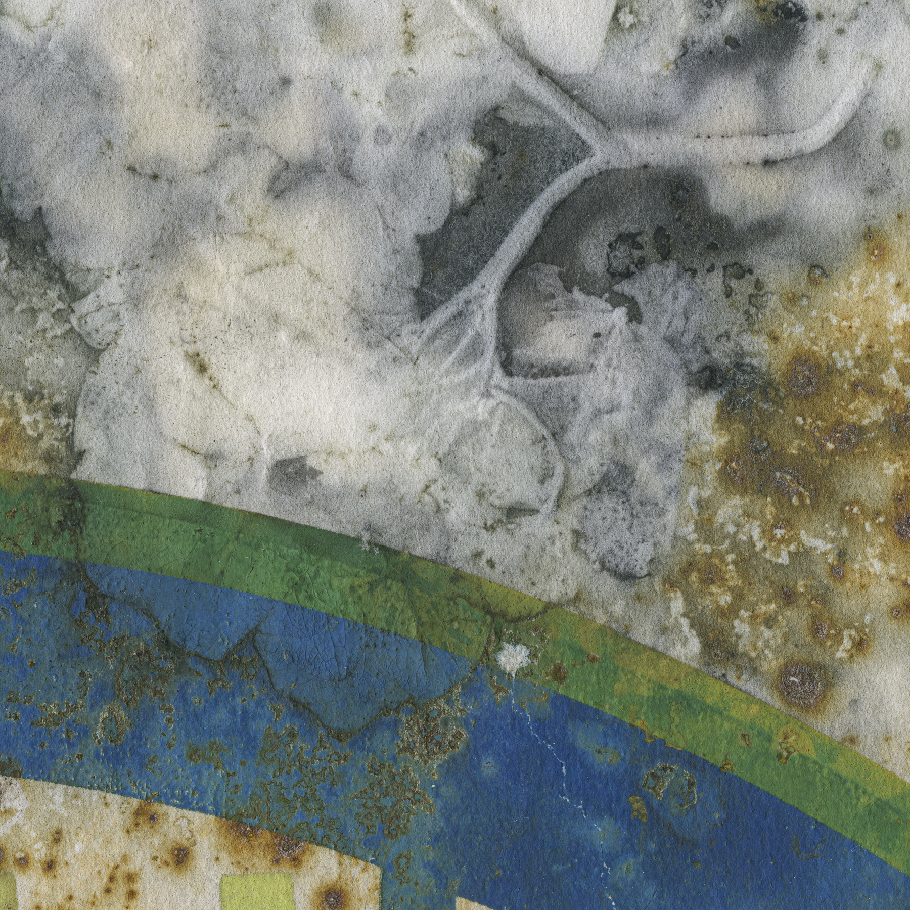 "PALIMPSEST 5" 2026, Digital archival print of a Eco-print on silkscreen, 13” x 19"