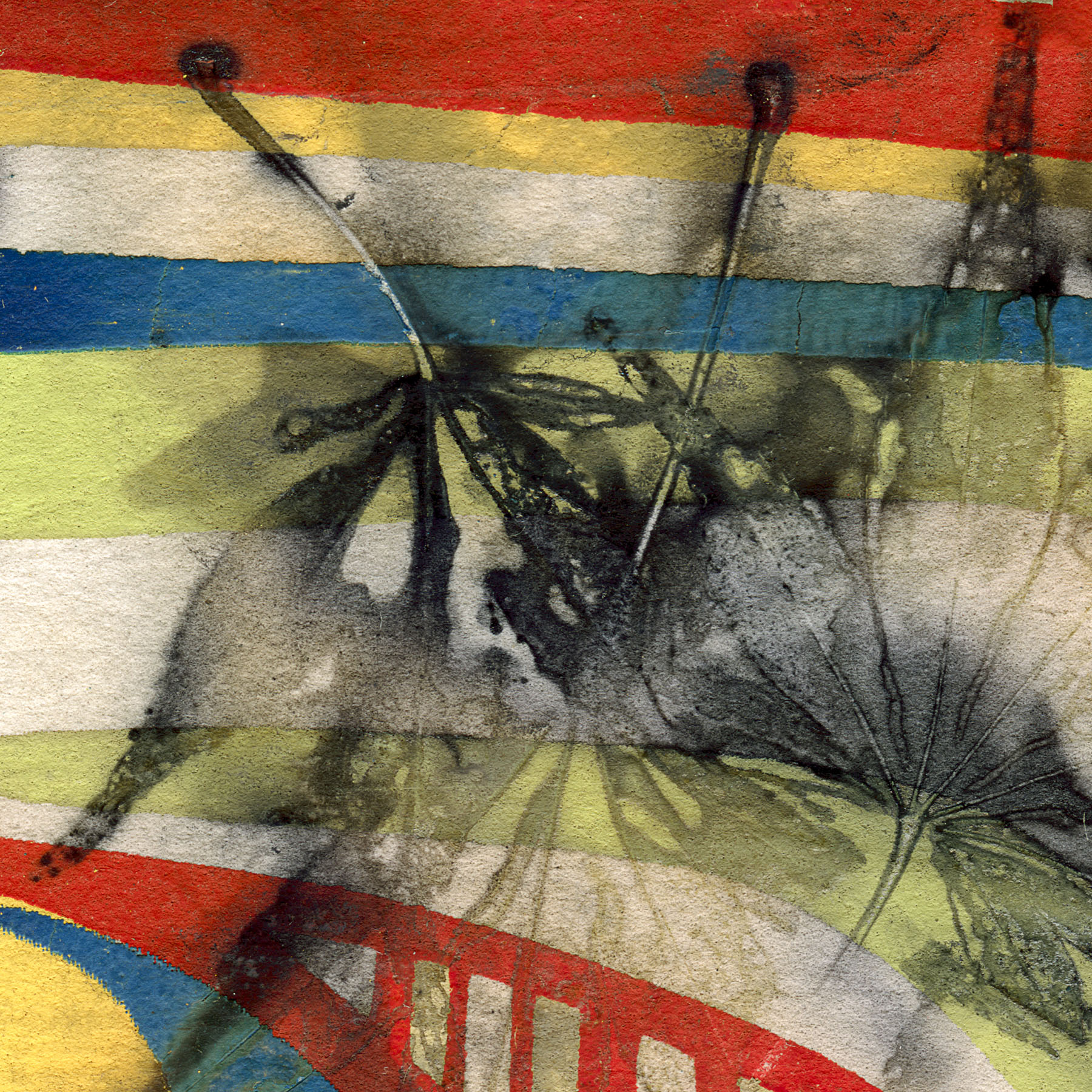 "PALIMPSEST 7" 2026, Digital archival print of a Eco-print on silkscreen, 13” x 19"