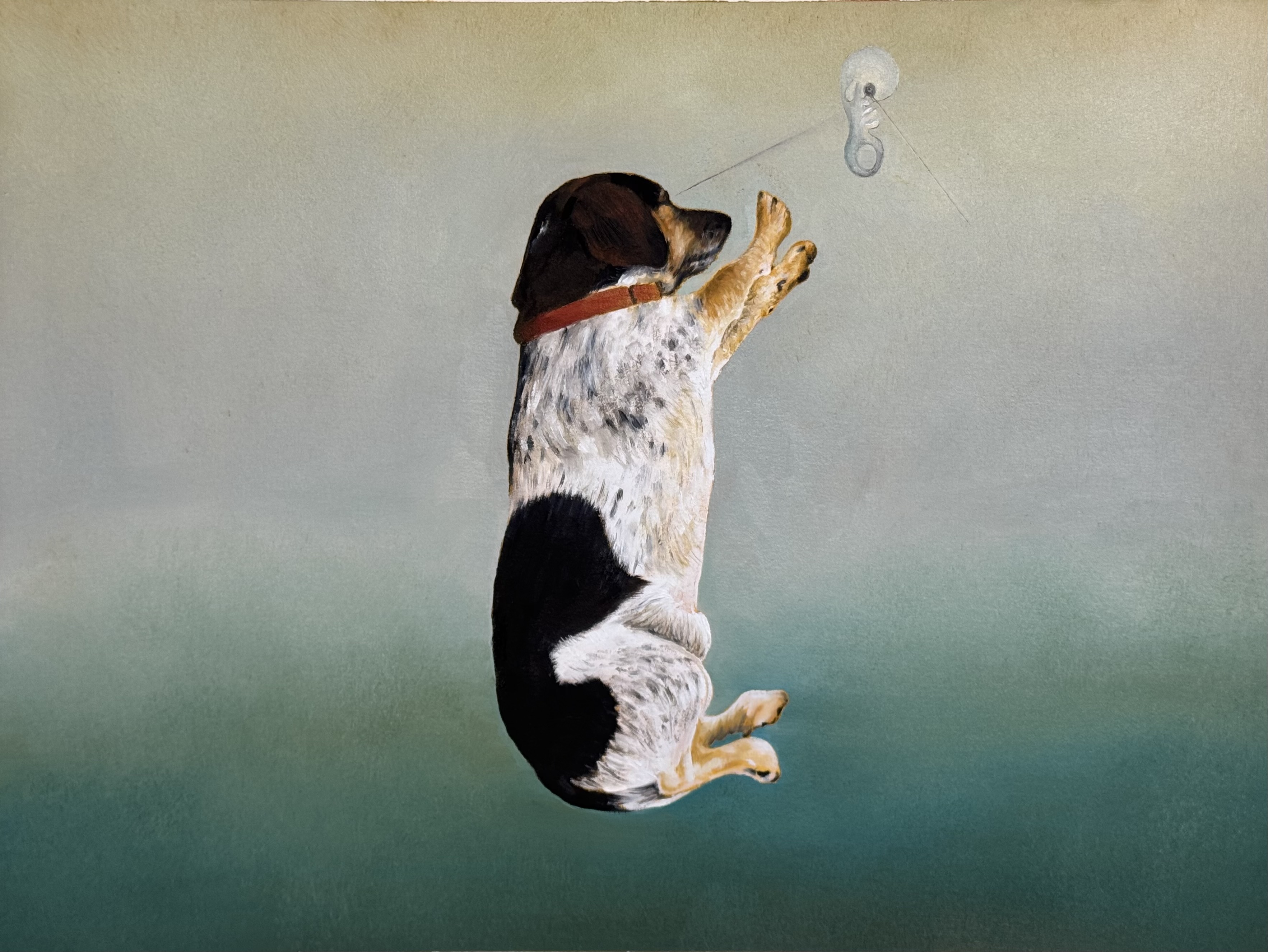 "Ode to Tutundjian - Dog Dreams of Rabbits" 2025, painting, oil on oilpaper, 12 x 16 inches