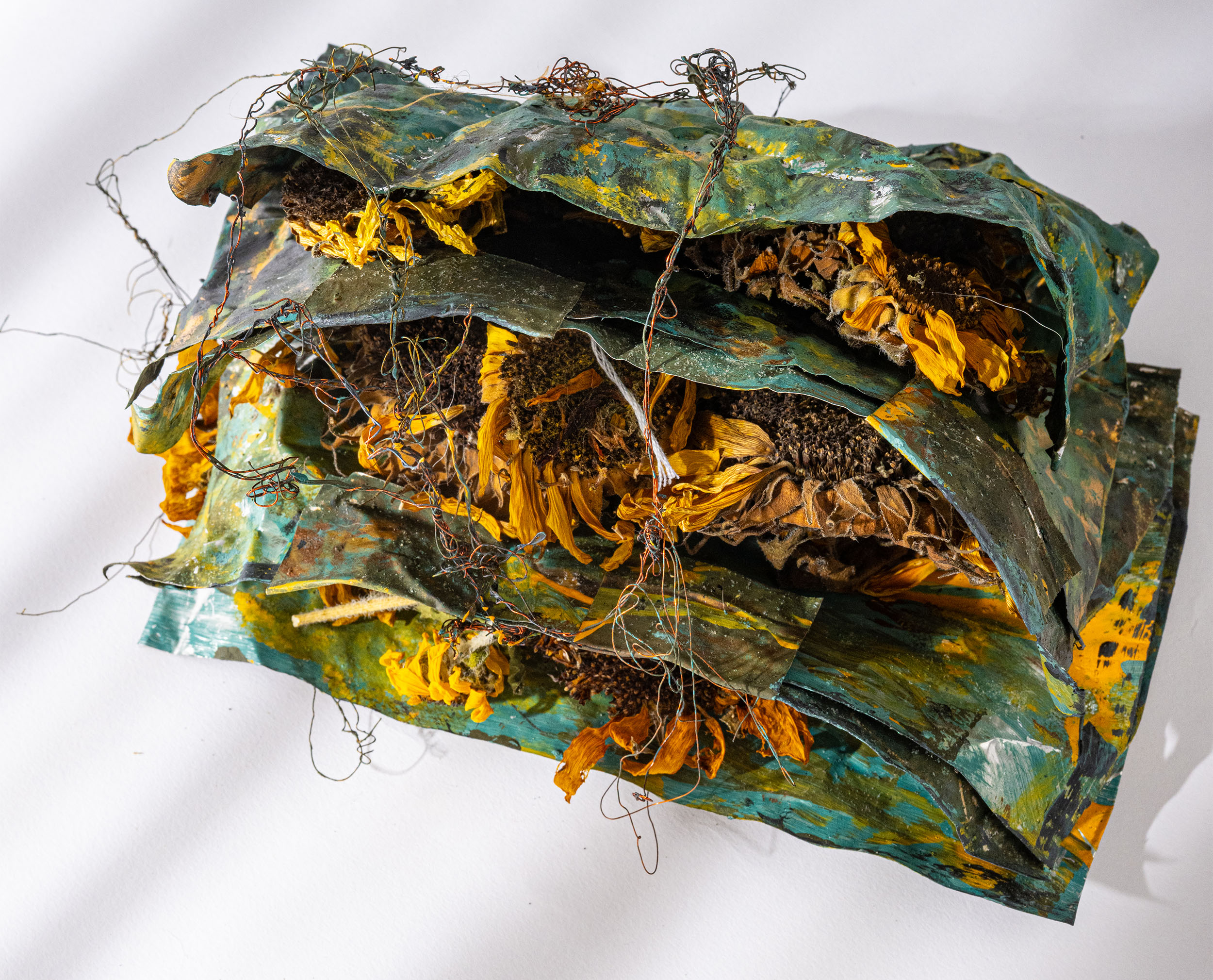 “Homage to Anselm Keifer: Sunflower #1” 2026, artists book: distressed metal and wire, dried sunflowers, 9” h x 6" w x 5" d