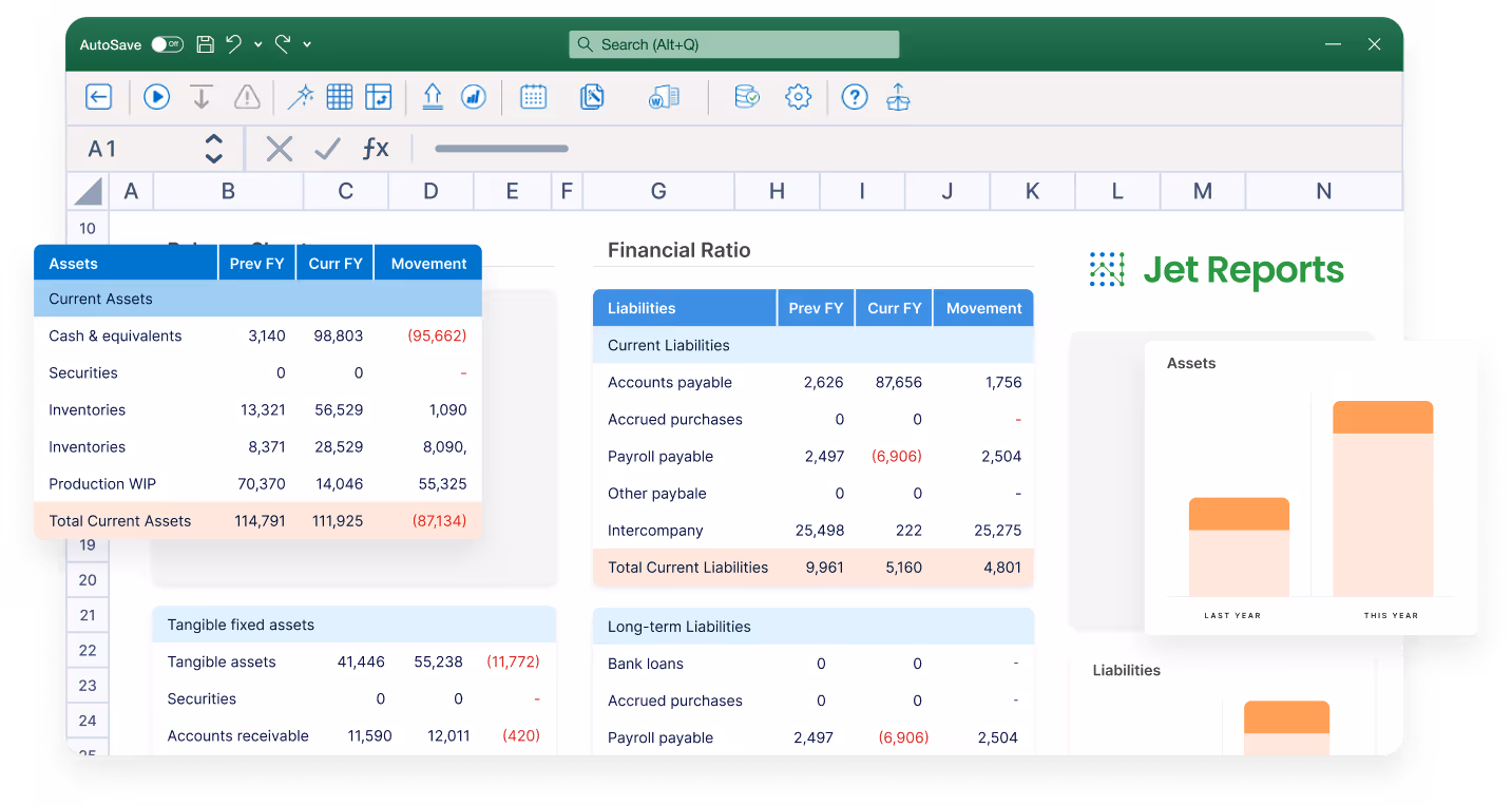 A dashboard from JetReports, one of the NetSuite reporting tools.