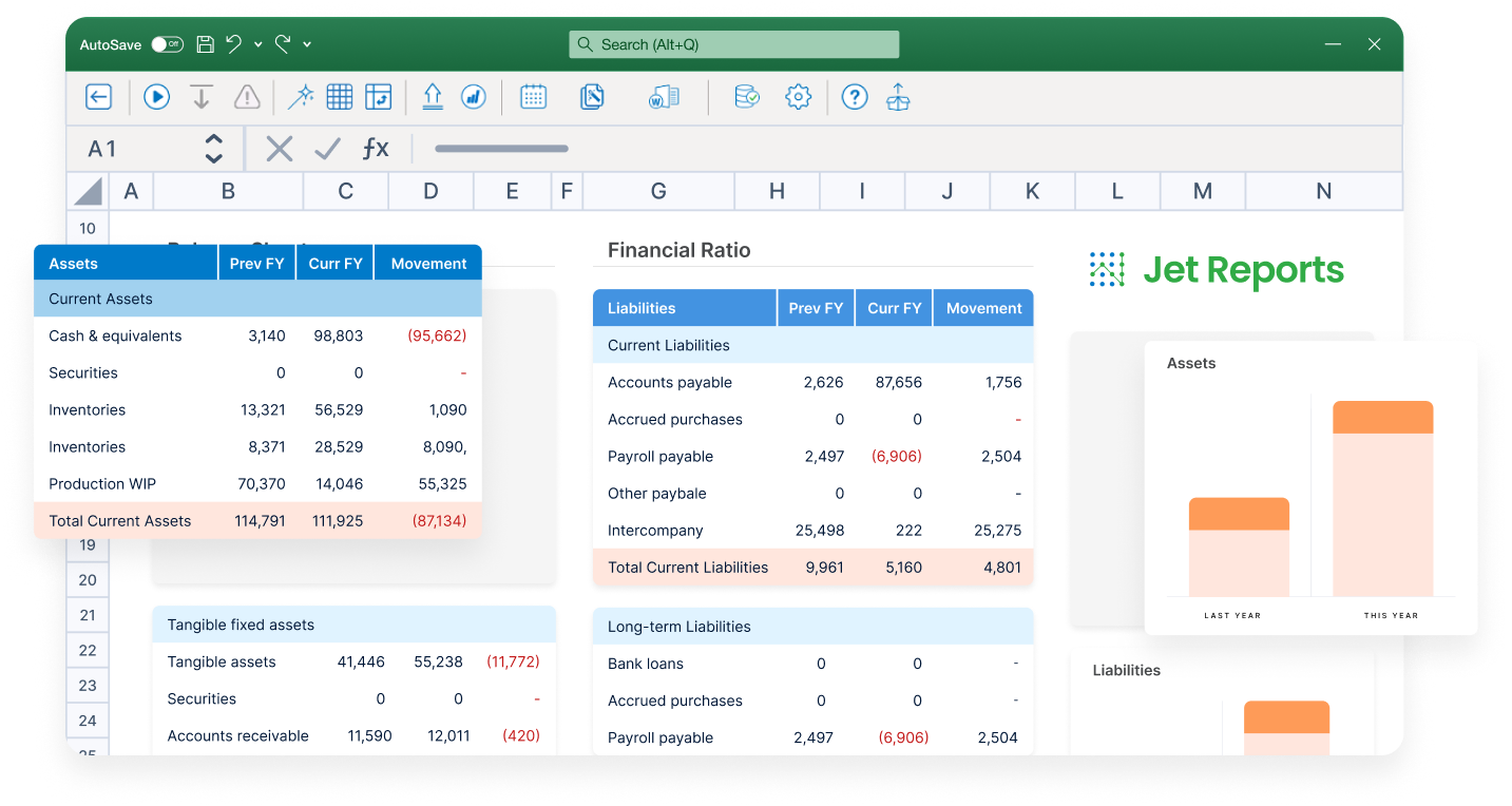 A dashboard from JetReports, one of the NetSuite reporting tools.