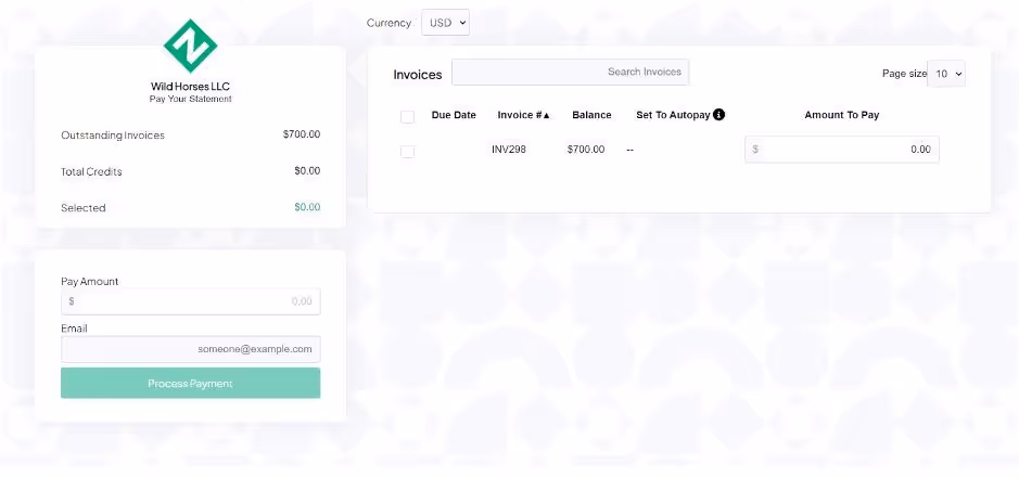 Screenshot of an online invoice payment portal. It displays a summary of outstanding balances, a list of invoices, and fields to enter a payment amount and email address. A payment button is visible at the bottom of the form.