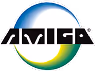 Amigo Mobility