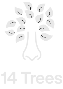 This is a logo of 14 Trees- a client of Sync Labs. Sync Labs is a design agency that crafts Brands, Websites, SaaS and Mobile Experiences using research led strategy and frameworks