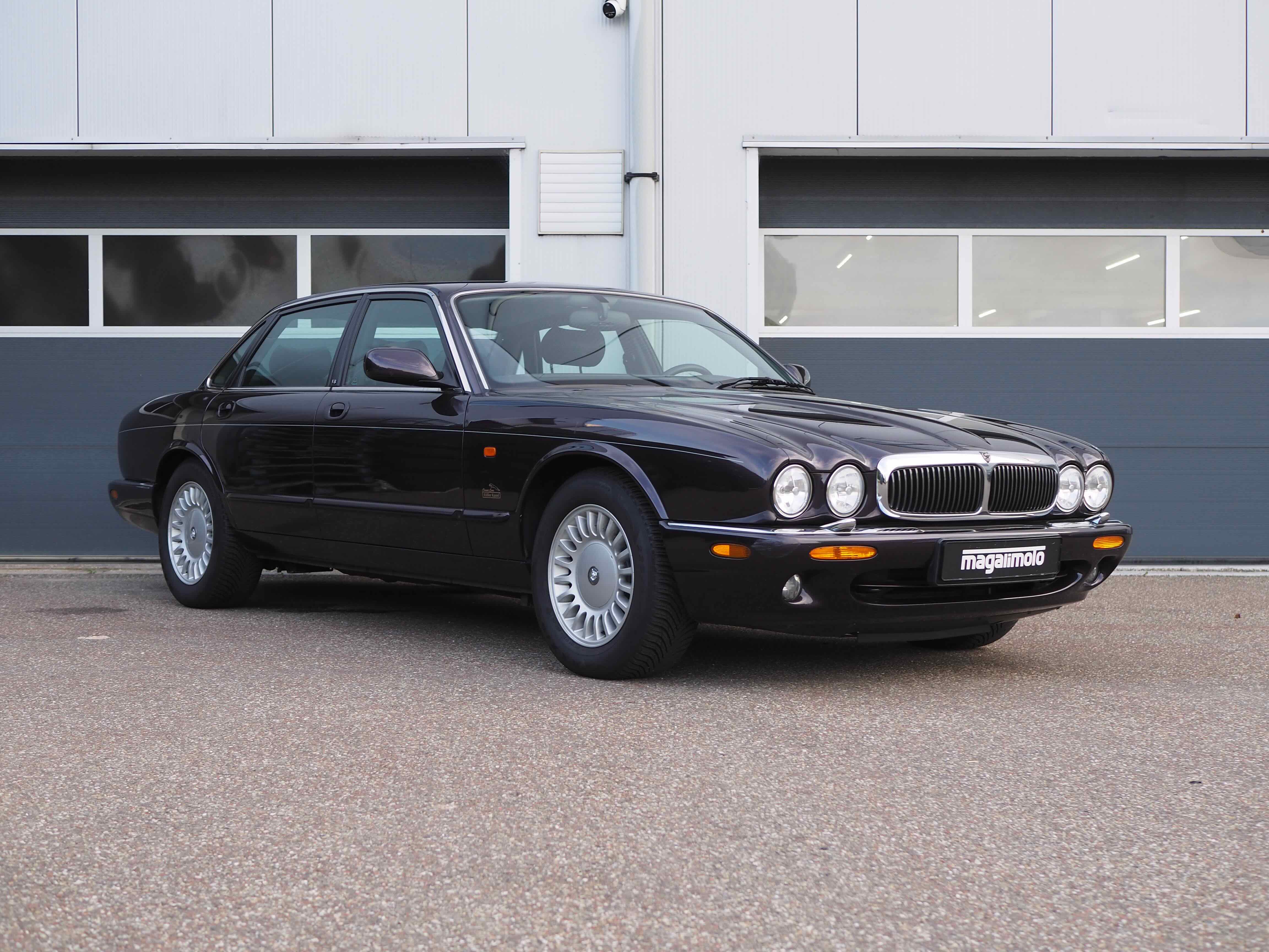 X308 XJ8