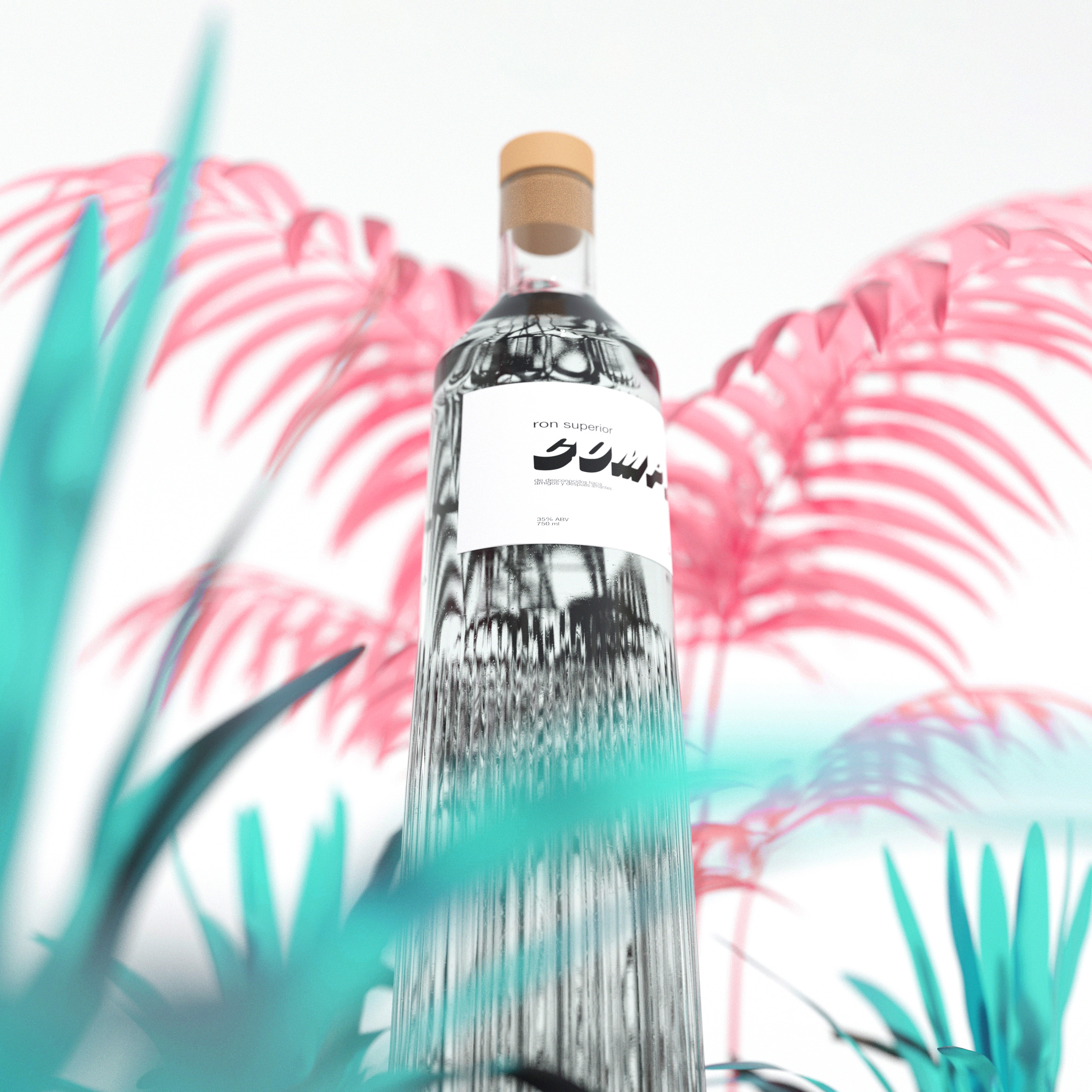 alyssa garay designer portfolio compa ron bottle cgi keyshot render creative