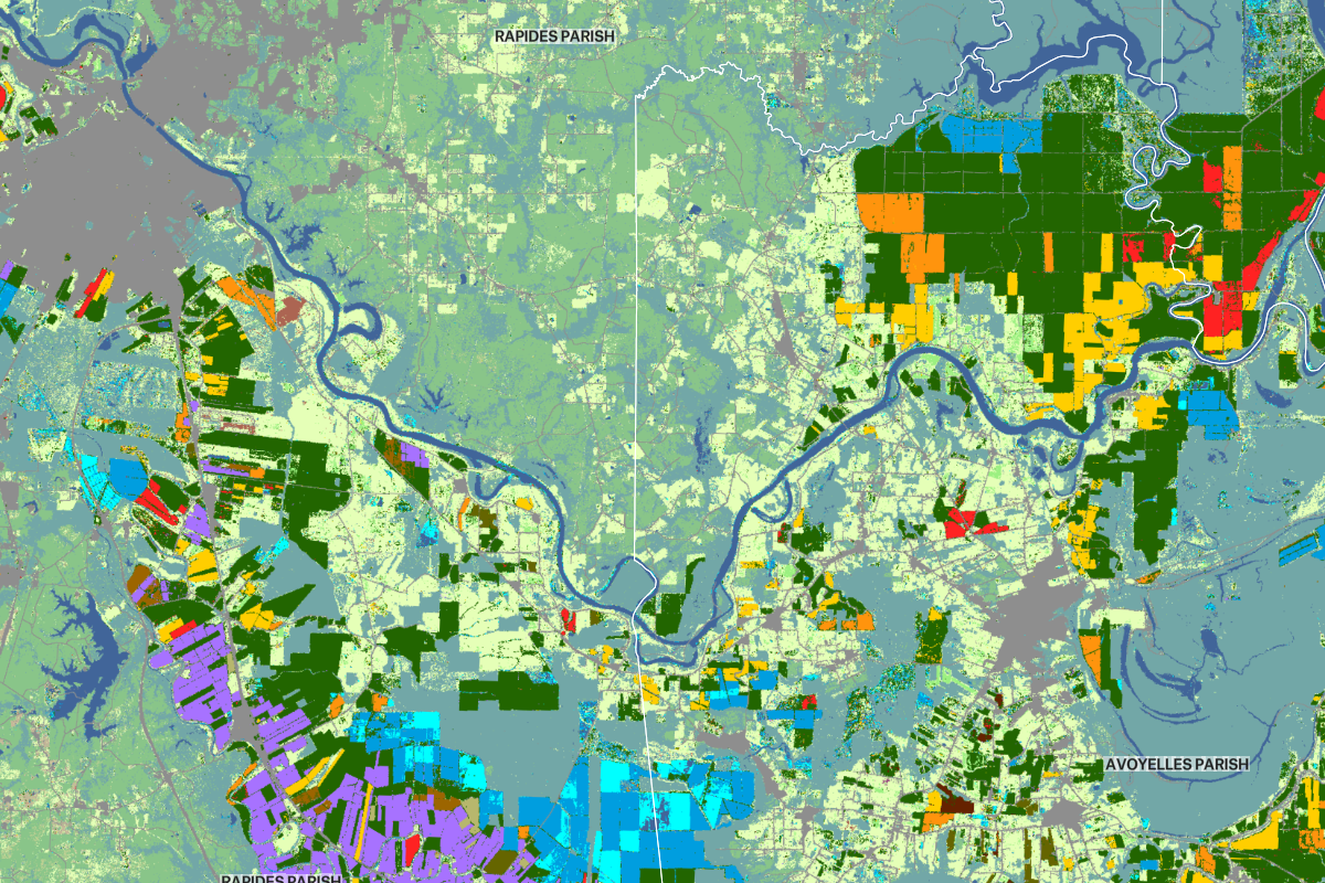 A satellite-derived thematic map of Rapides and Avoyelles Parishes showing agricultural land use through a multi-colored grid, where different colors represent specific crop types, soil conditions, and field boundaries to assist in precision farming.