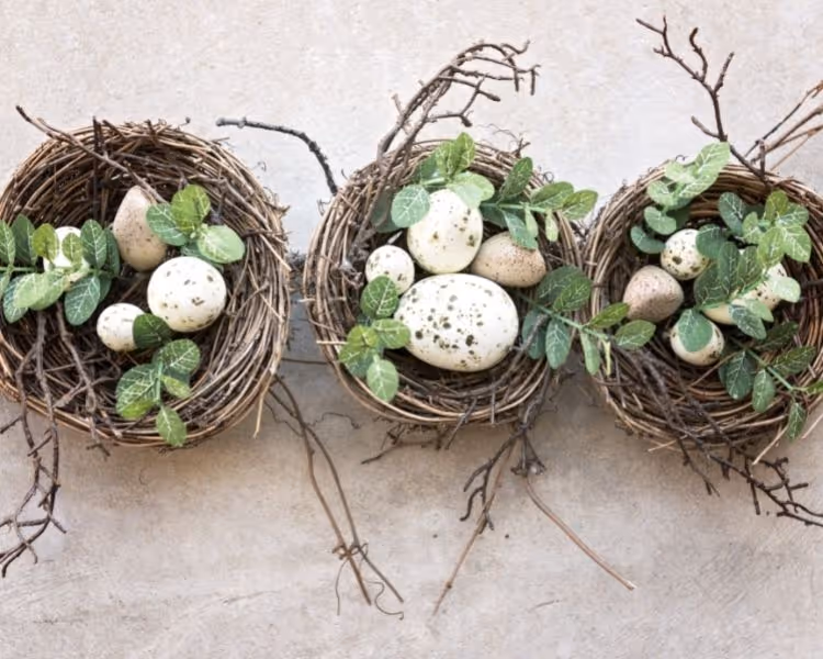 Three birds nests with eggs and eucalyptus