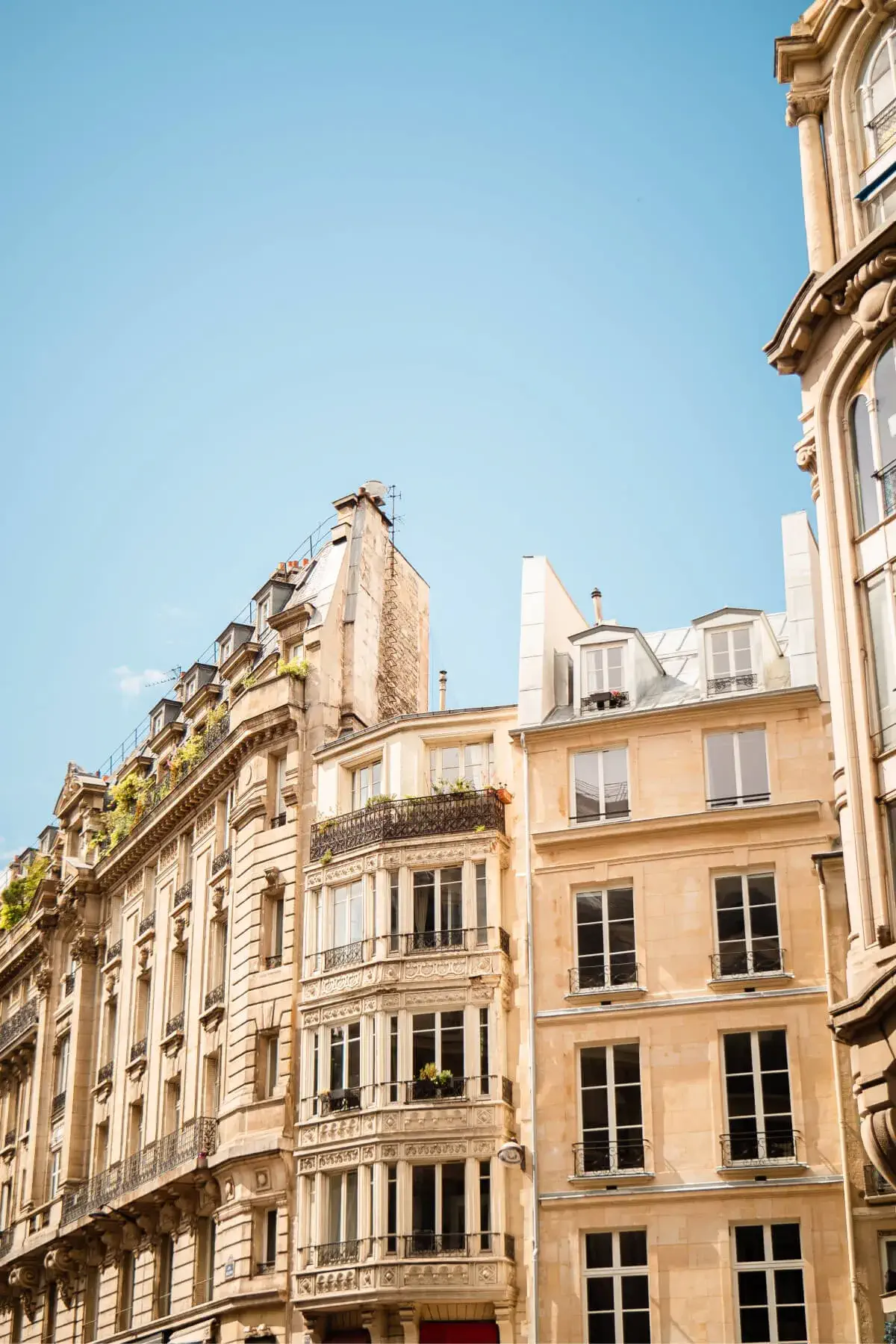 Immobilier Louve
