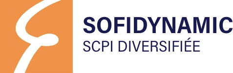 Logo Sofidynamic