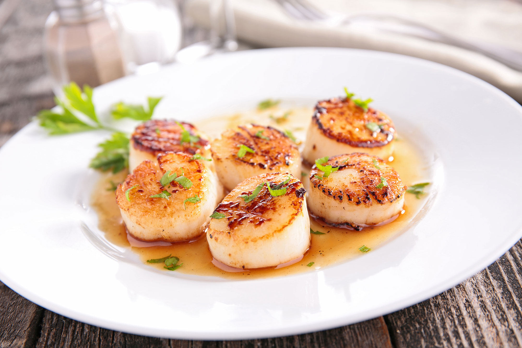 Seafood Skills